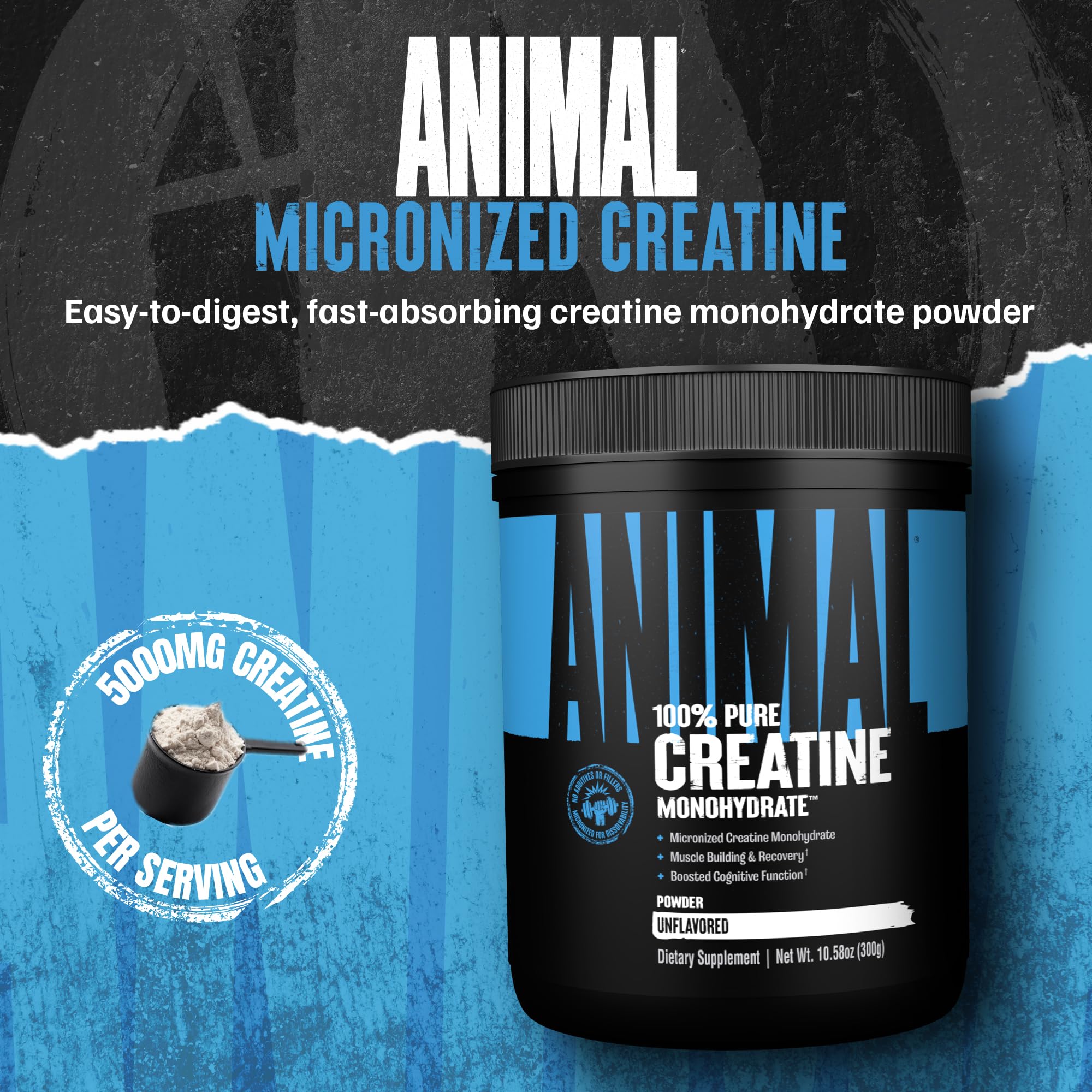 Animal Creatine Monohydrate Powder – Micronized Creatine for Women and Men, Supports Muscle Growth, Strength, Endurance, Recovery and ATP Production, Gym & Workout Supplements - Unflavored, 300g Animal uk supplements
