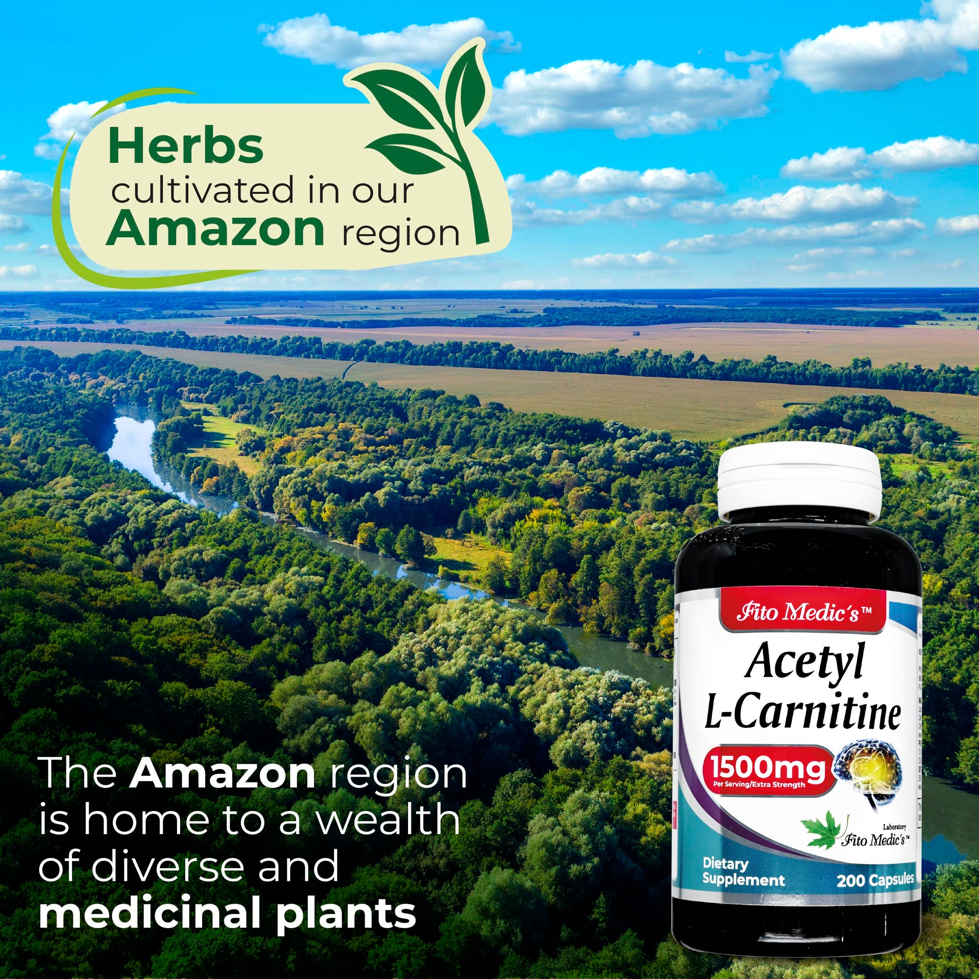 Lab - l carnitine - 1500 mg per Serving, 200 Capsules, l-carnitine - High Potency of - Acetyl FITO MEDIC'S uk supplements