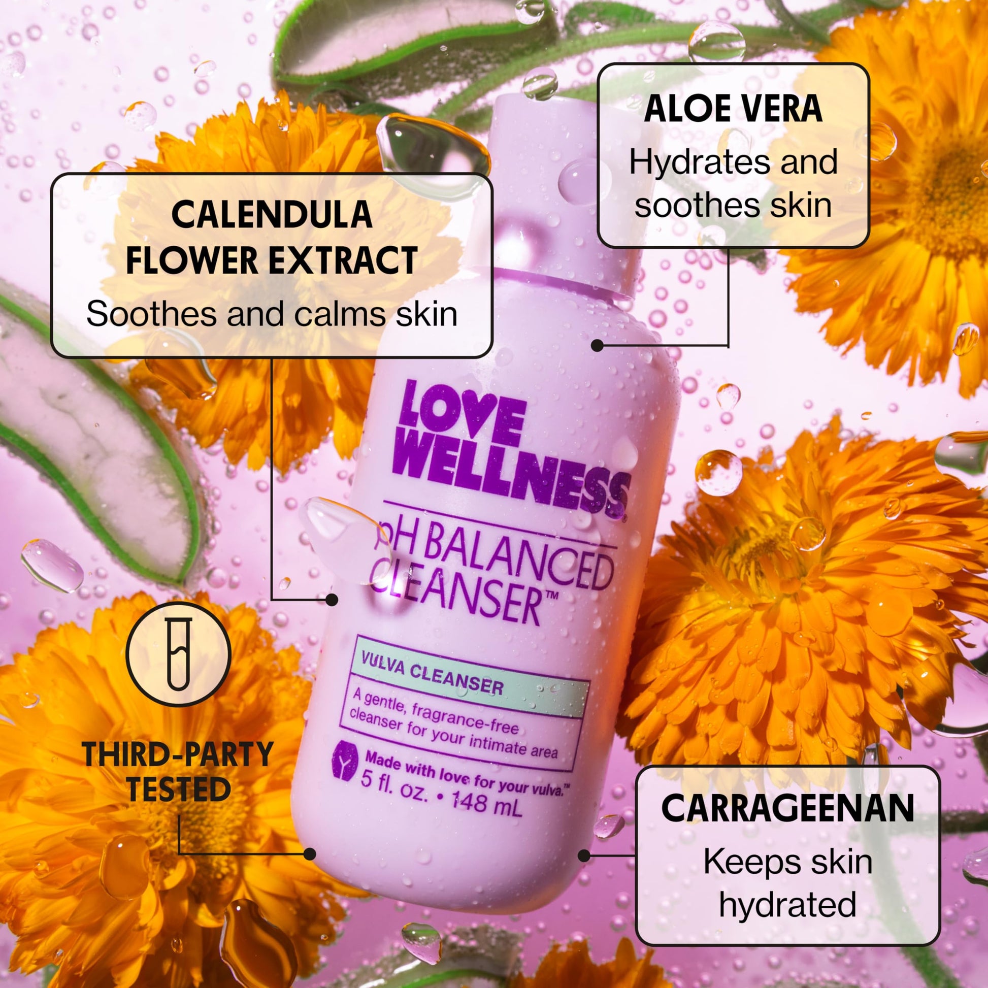 Love Wellness pH Balancing Cleanser | Feminine Vaginal Wash | Fragrance-Free | Vaginal Cleanser for Balanced pH, Intimate Health & Hygiene | Non-Irritating with Aloe Vera for Sensitive Skin | 5 Fl Oz Love Wellness uk supplements
