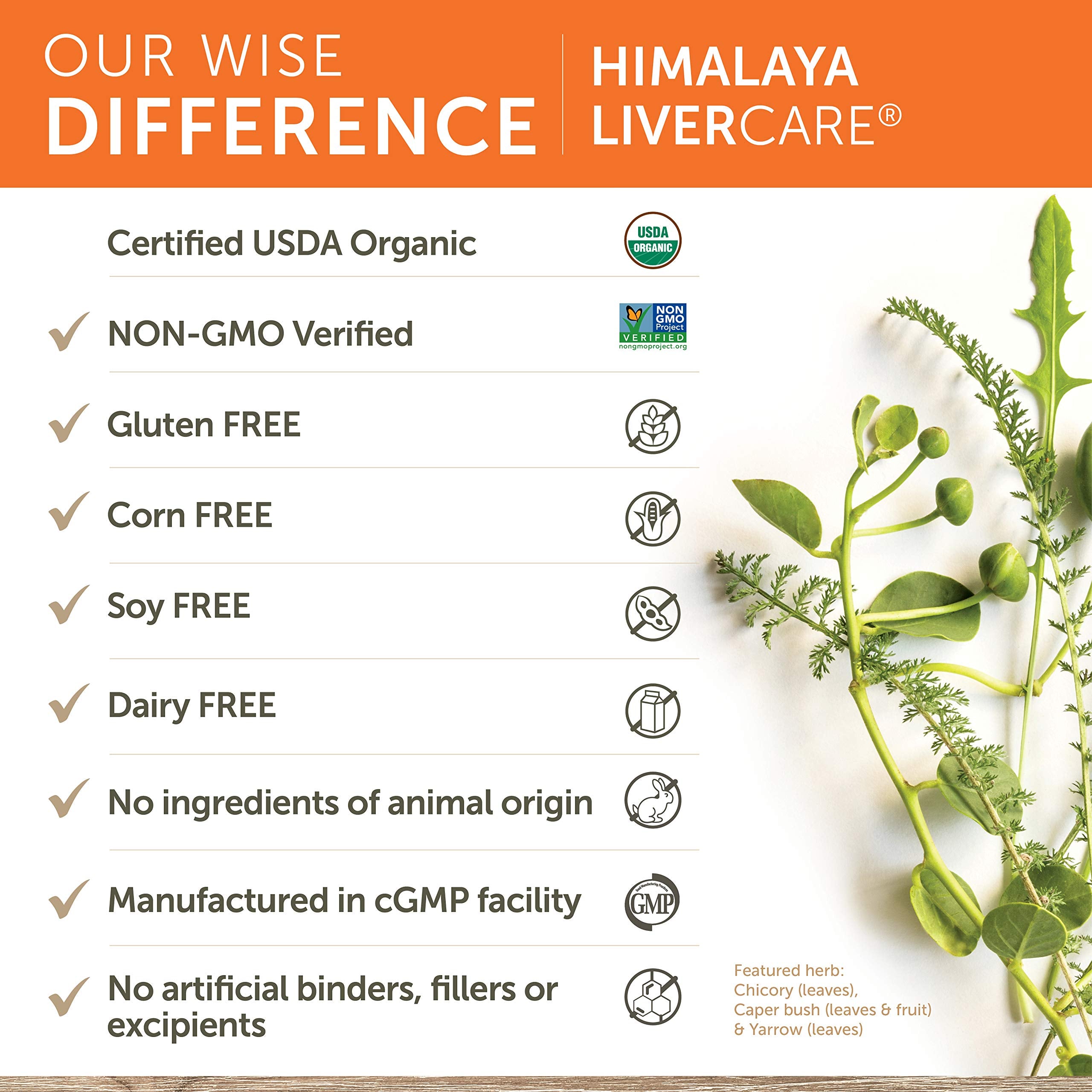 Himalaya LiverCare for Liver Cleanse and Liver Detox, 375 mg, 180 Capsules Himalaya uk supplements