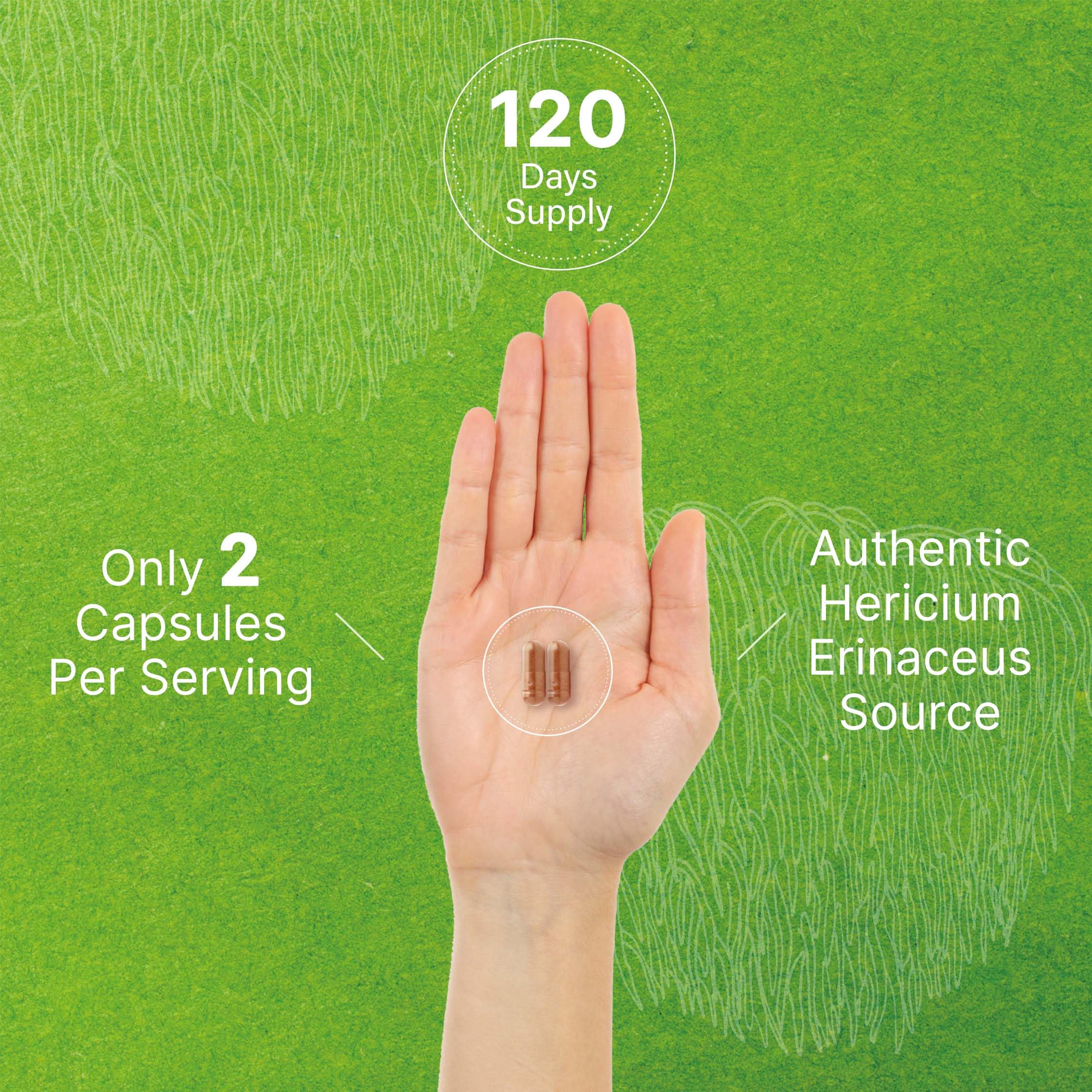 Lions Mane Mushroom Supplement, 7,500mg Per Serving, 240 Capsules – Active Fruiting DEAL SUPPLEMENT uk supplements