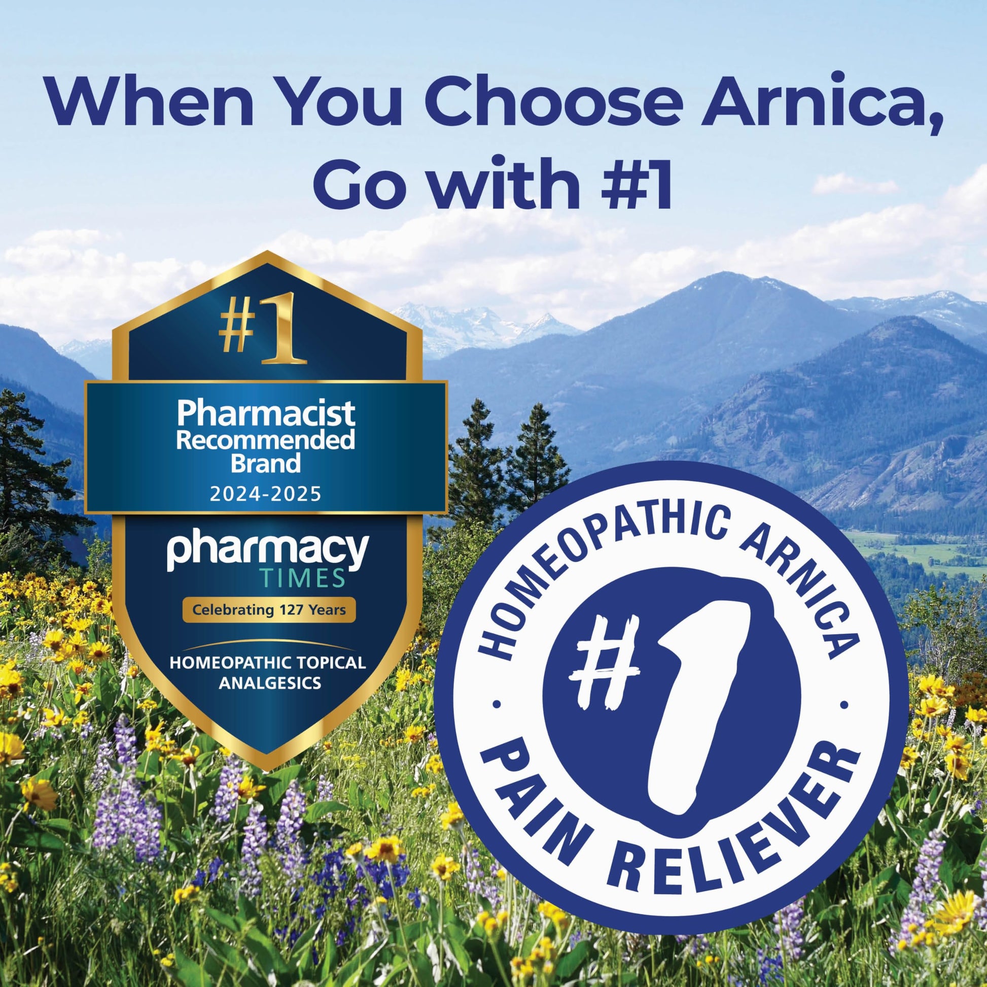 Boiron Arnicare Gel for Relief of Joint Pain, Muscle Pain, Muscle Soreness, and Swelling from Bruises or Injury - Non-greasy and Fragrance-Free - 4.2 oz Boiron uk supplements