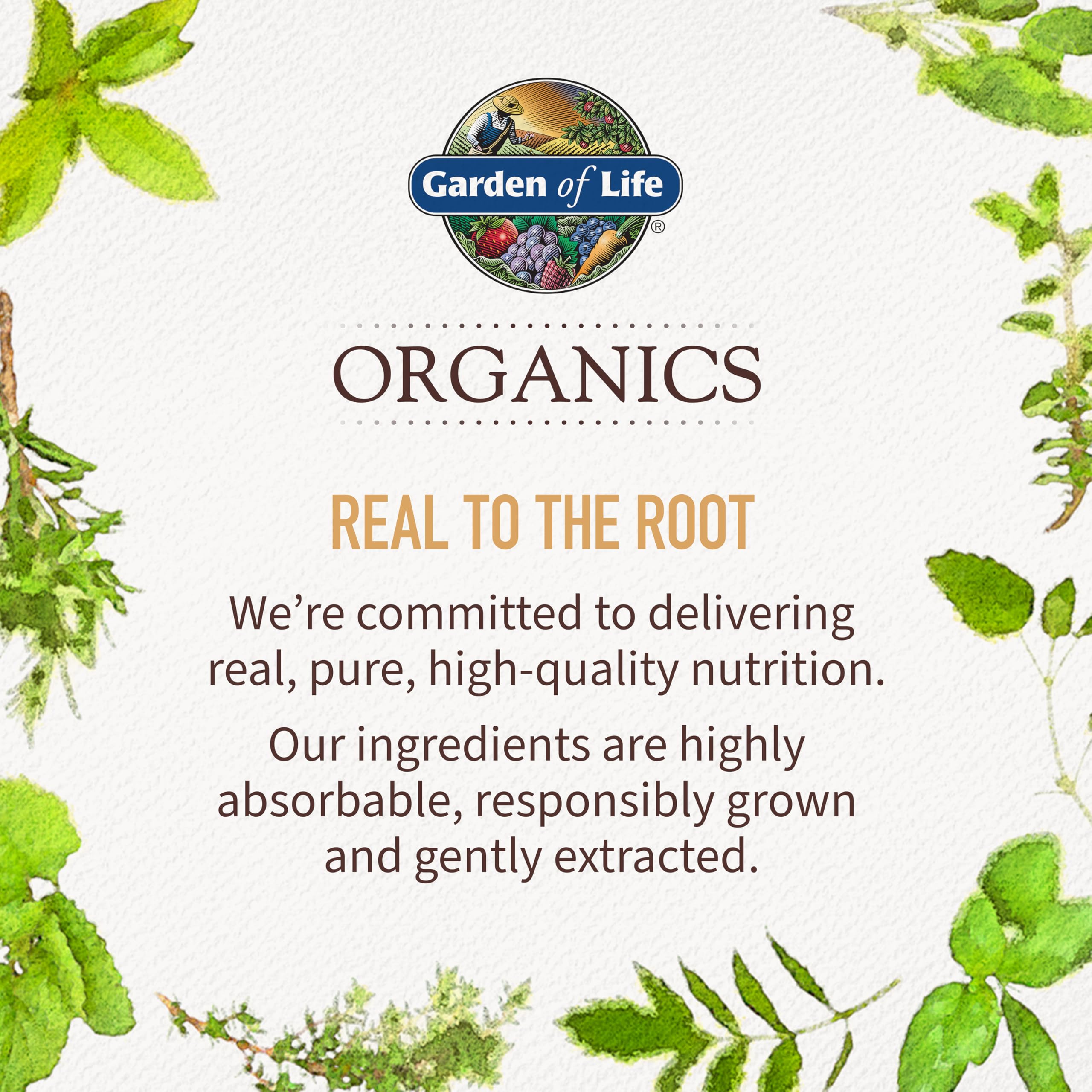 Garden of Life Organics Whole Food Multivitamin for Men 40+ 120 Tablets, Vegan Mens Multi for Health Garden of Life uk supplements