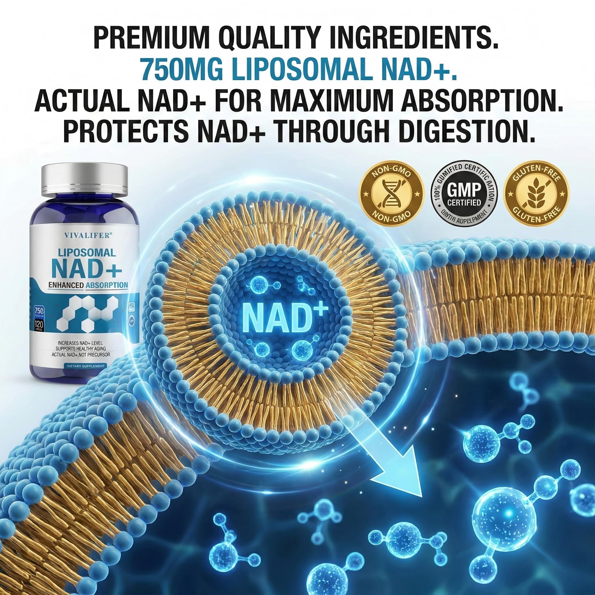 Liposomal NAD+ Supplement 750mg - 120 Capsules NMN Alternative Superior Absorption & Bioavailability -True Nicotinamide Adenine Dinucleotide for Cellular Energy, DNA Repair Support & Healthy Aging DQQI uk supplements