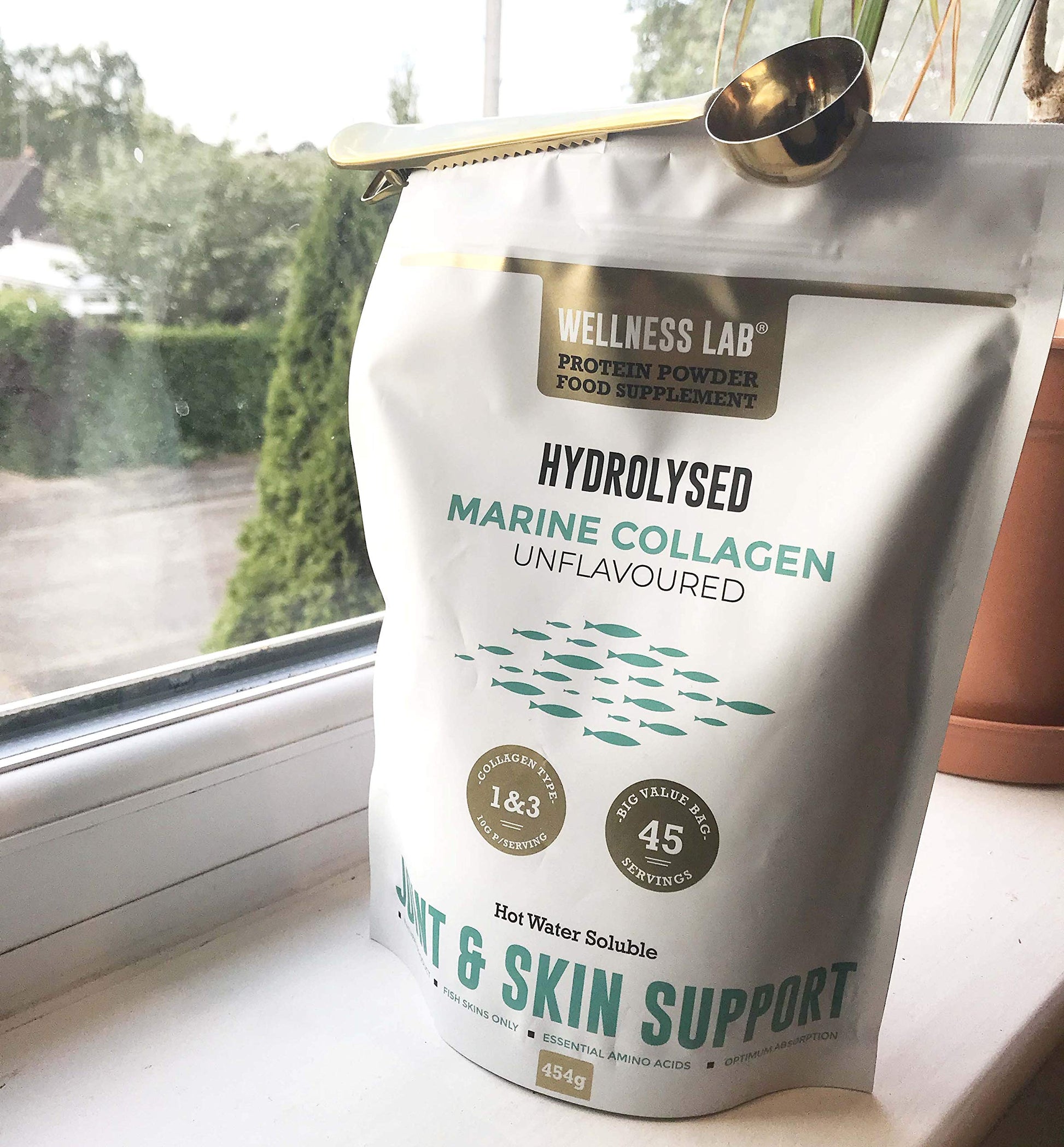 Cleanest Marine Collagen Peptides | Wellness Lab 454g | Type I,III | Highest Bioavailability Hydrolysed Protein Wellness Lab uk supplements