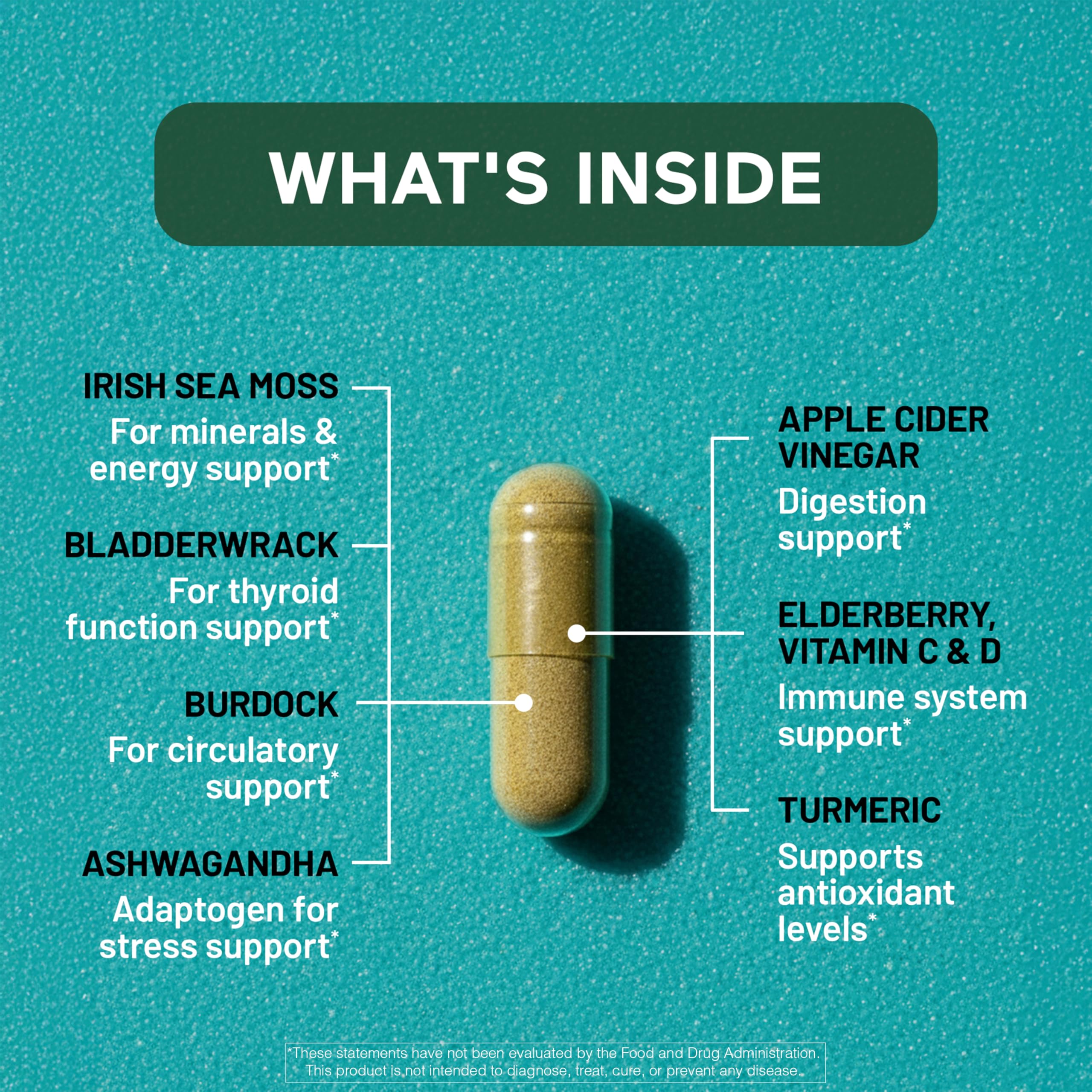SMARTERNUTRITION Sea Moss Multimineral with Irish Sea Moss with Ashwagandha Bladderwrack Turmeric Zinc Vitamin C Elderberry Dandelion - Non-GMO, USA Manufactured - 60 Capsules[30 Day Supply] SMARTERNUTRITION uk supplements