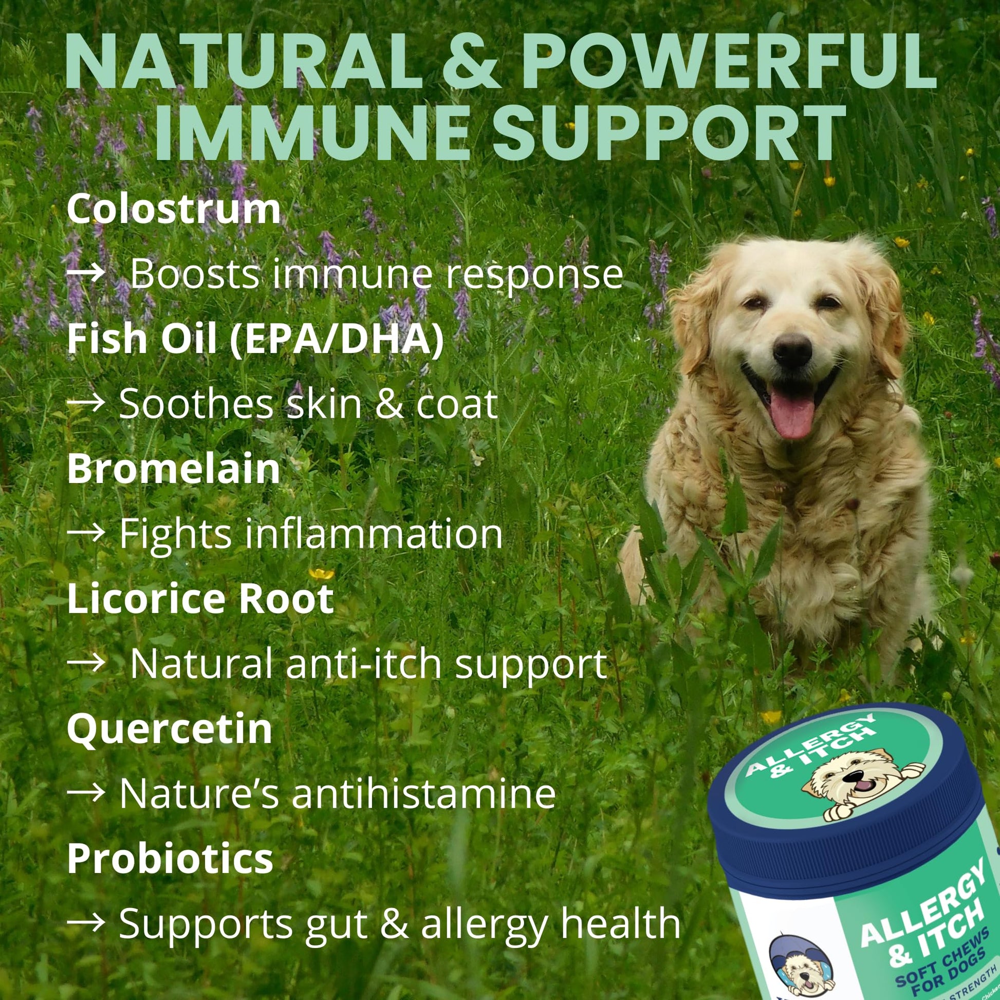 Under the Weather Allergy & Itch Pet Allergy Chews for Dogs | Vet Formulated Skin Support for Canines | Soothing Dog Allergies and Itching Relief Supplement | 60 Count Under the Weather uk supplements