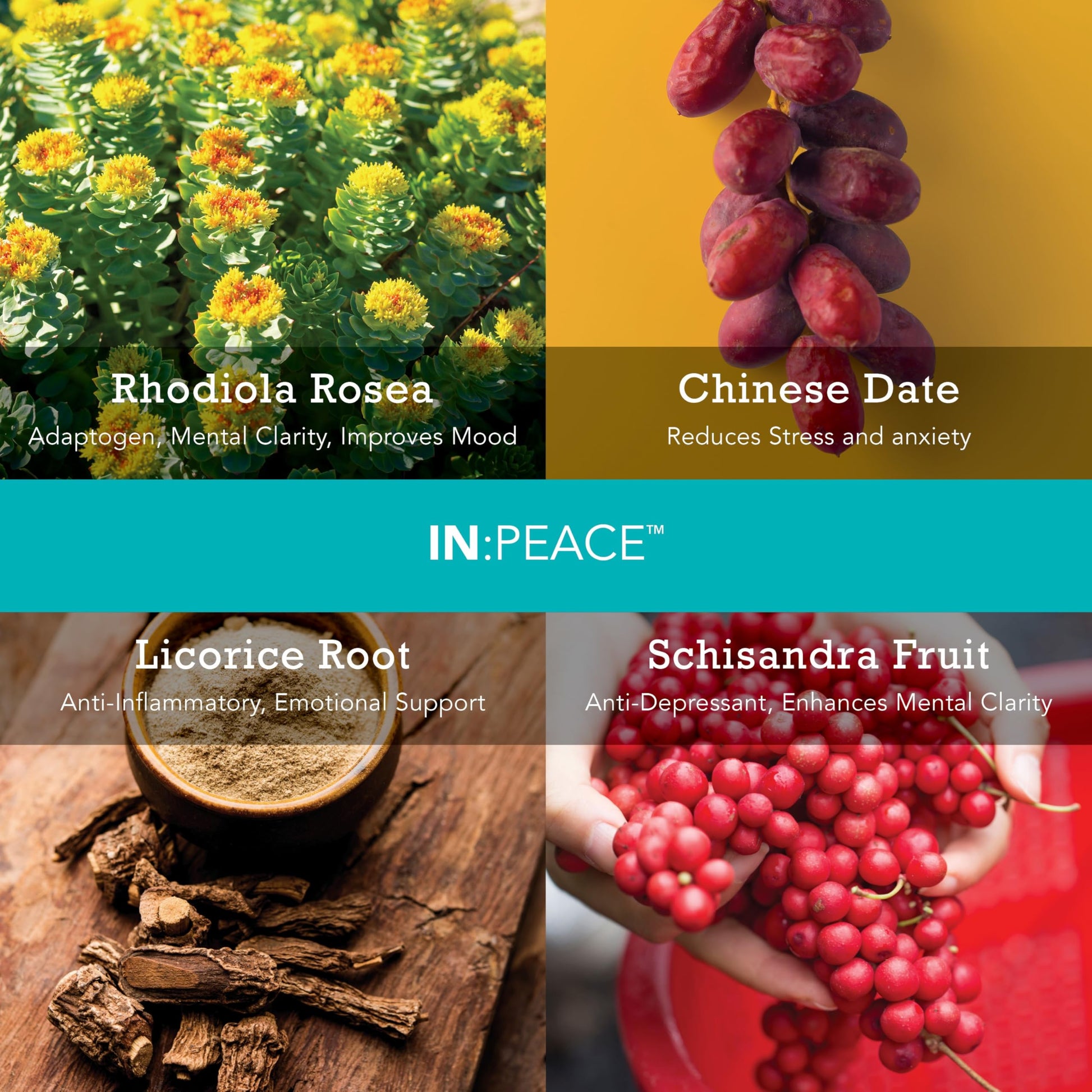 In:TotalWellness IN:Peace Herbal Calming Formula. 20 Serving Pouch, Wild Berry Flavor. 9 Herb Antioxidant + Adaptogen Blend. Clinically Proven Ingredients. Crafted by a Licensed Herbalist INTotalWellness uk supplements