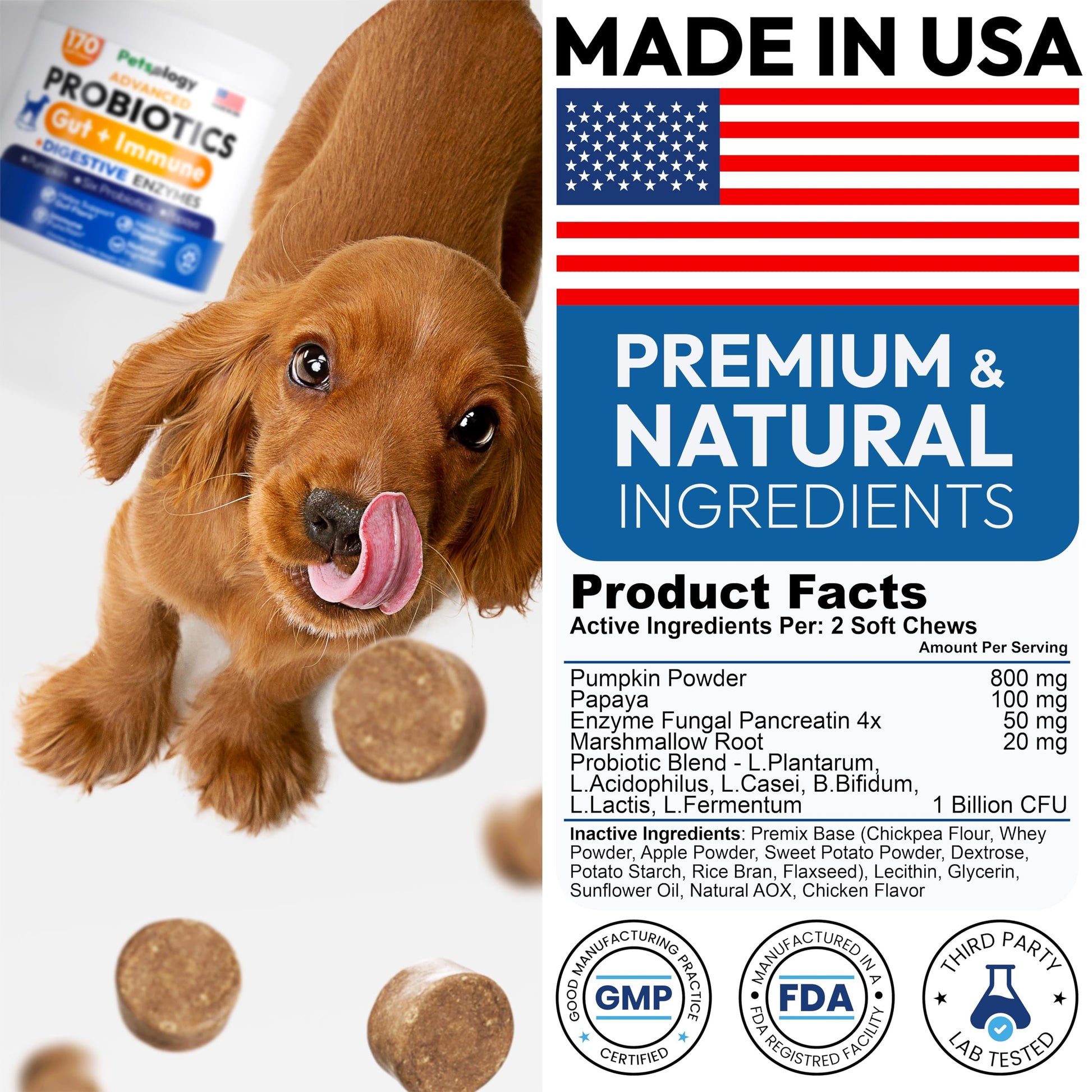 Probiotics for Dogs - 170 Dog Probiotics Chews - Digestive Enzymes & Prebiotics - Support Gut Health, Diarrhea, Gas & Constipation Relief - Itchy Skin, Allergies, Yeast Balance - Advanced Supplement Petsology uk supplements
