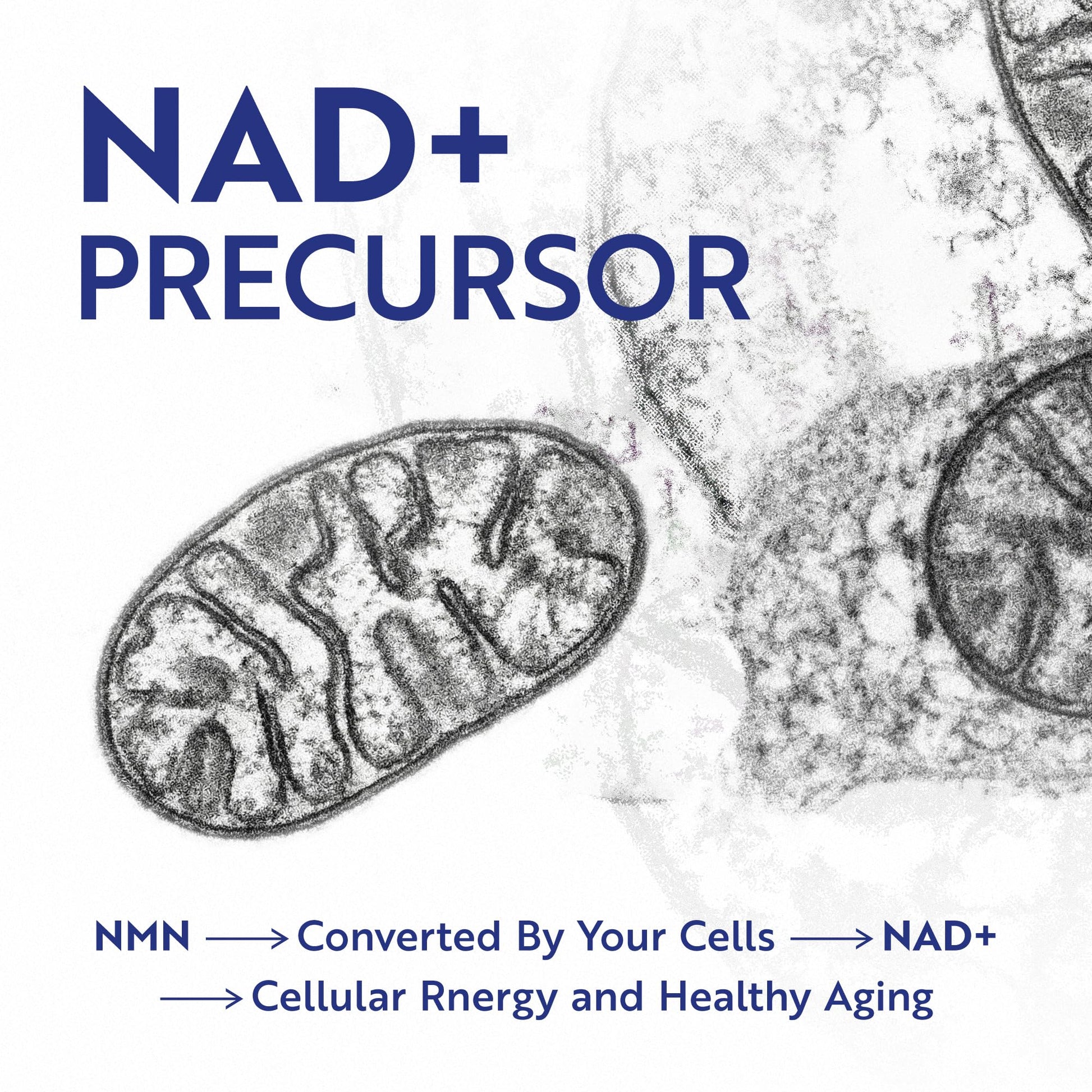 NMN Supplement 500mg | 99% Pure | NAD+ Precursor for Cellular Energy, Longevity, Repair, and Healthy Aging Support | Third-Party Tested & Non-GMO | Nicotinamide Mononucleotide | 60 NMN Capsules Nobi Nutrition uk supplements