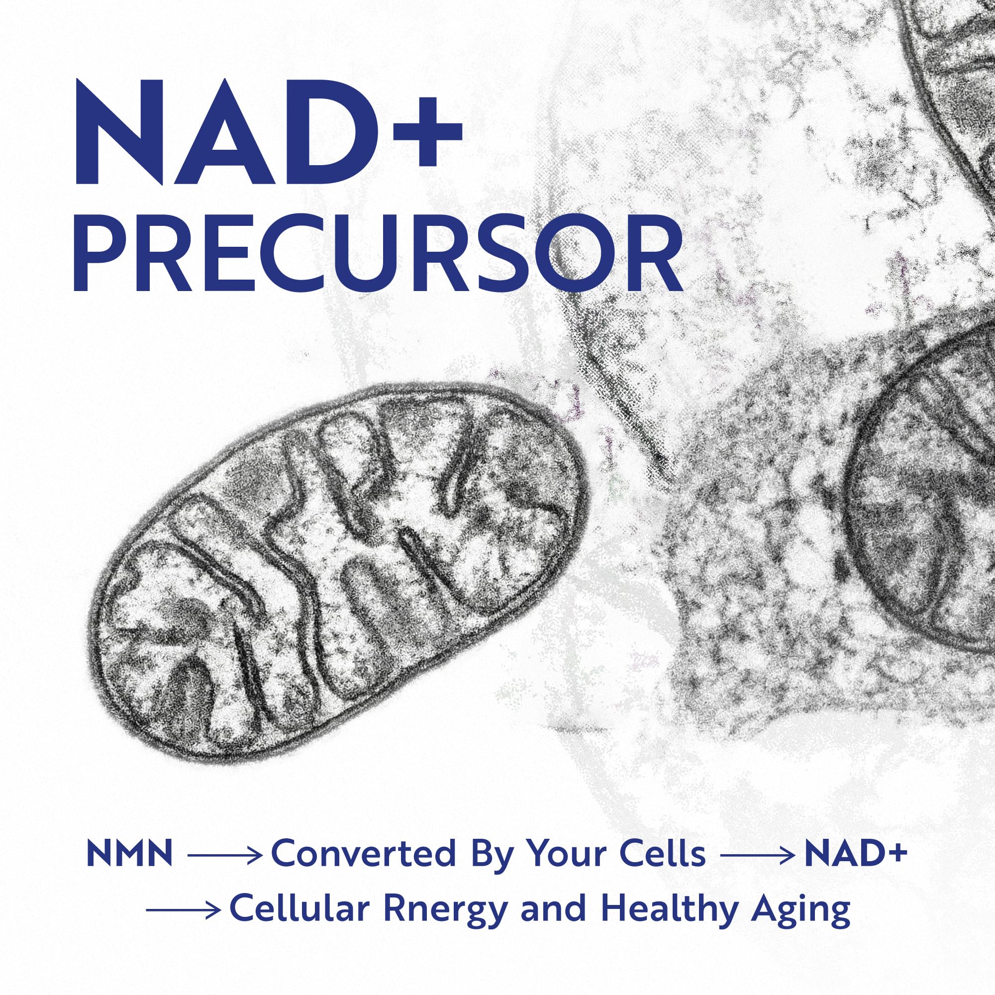 NMN Supplement 500mg | 99% Pure | NAD+ Precursor for Cellular Energy, Longevity, Repair, and Healthy Aging Support | Third-Party Tested & Non-GMO | Nicotinamide Mononucleotide | 60 NMN Capsules Nobi Nutrition uk supplements