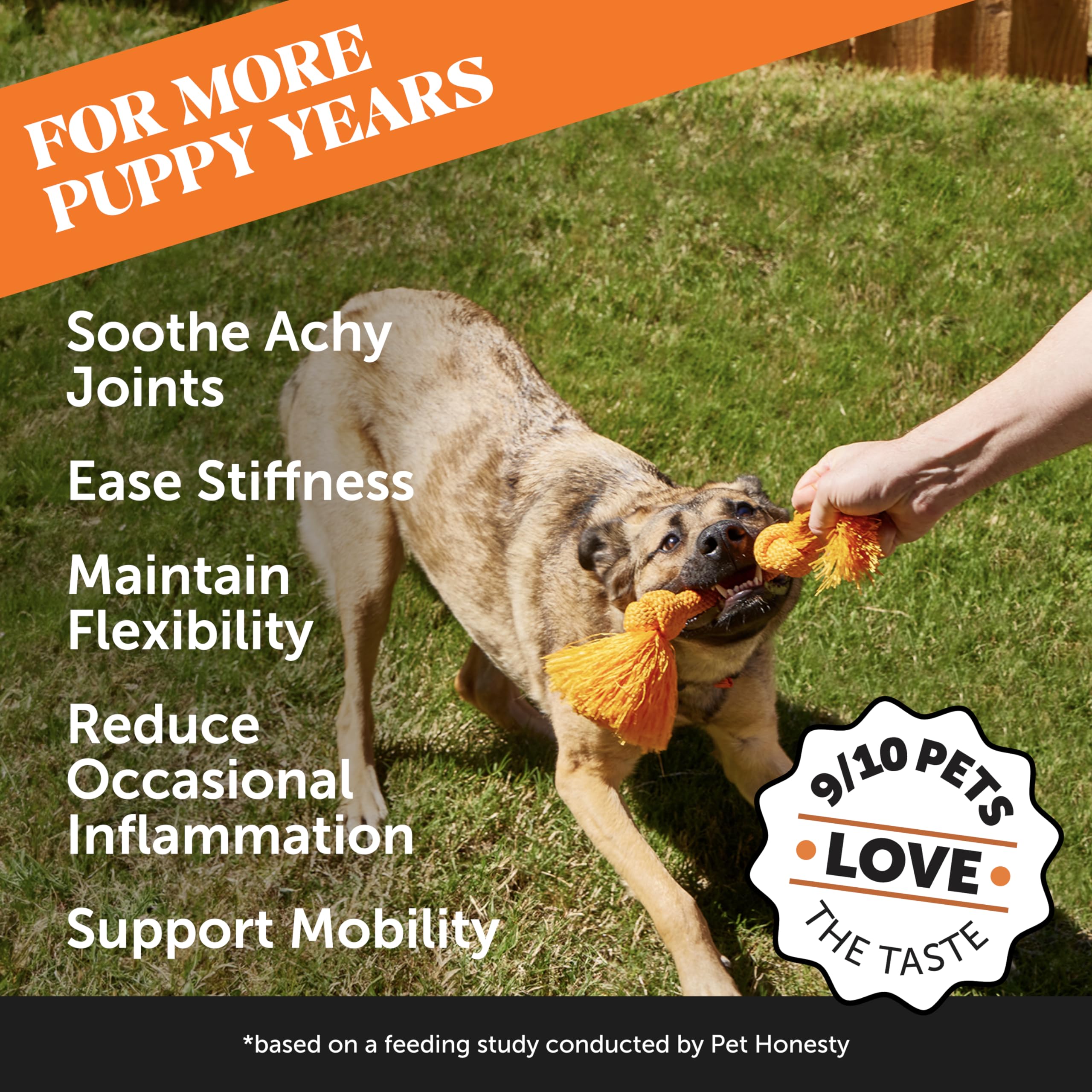 Hemp Hip & Joint Supplement for Dogs - Hemp Oil & Powder - Glucosamine Chondroitin for Dogs, Turmeric, MSM, Green-Lipped Mussel, Supports Mobility, May Reduce Discomfort (Bacon) Pet Honesty uk supplements