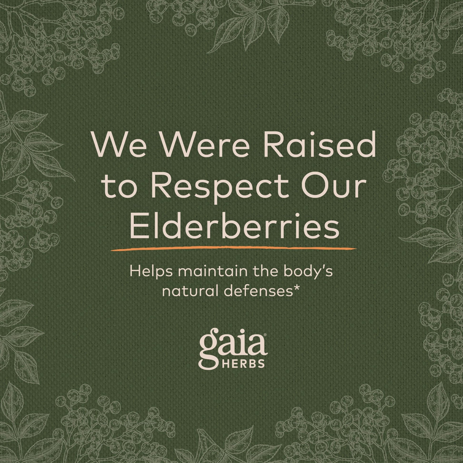 Gaia Herbs Black Elderberry (Sambucus Nigra) Extra Strength Gummies Gaia Herbs uk supplements