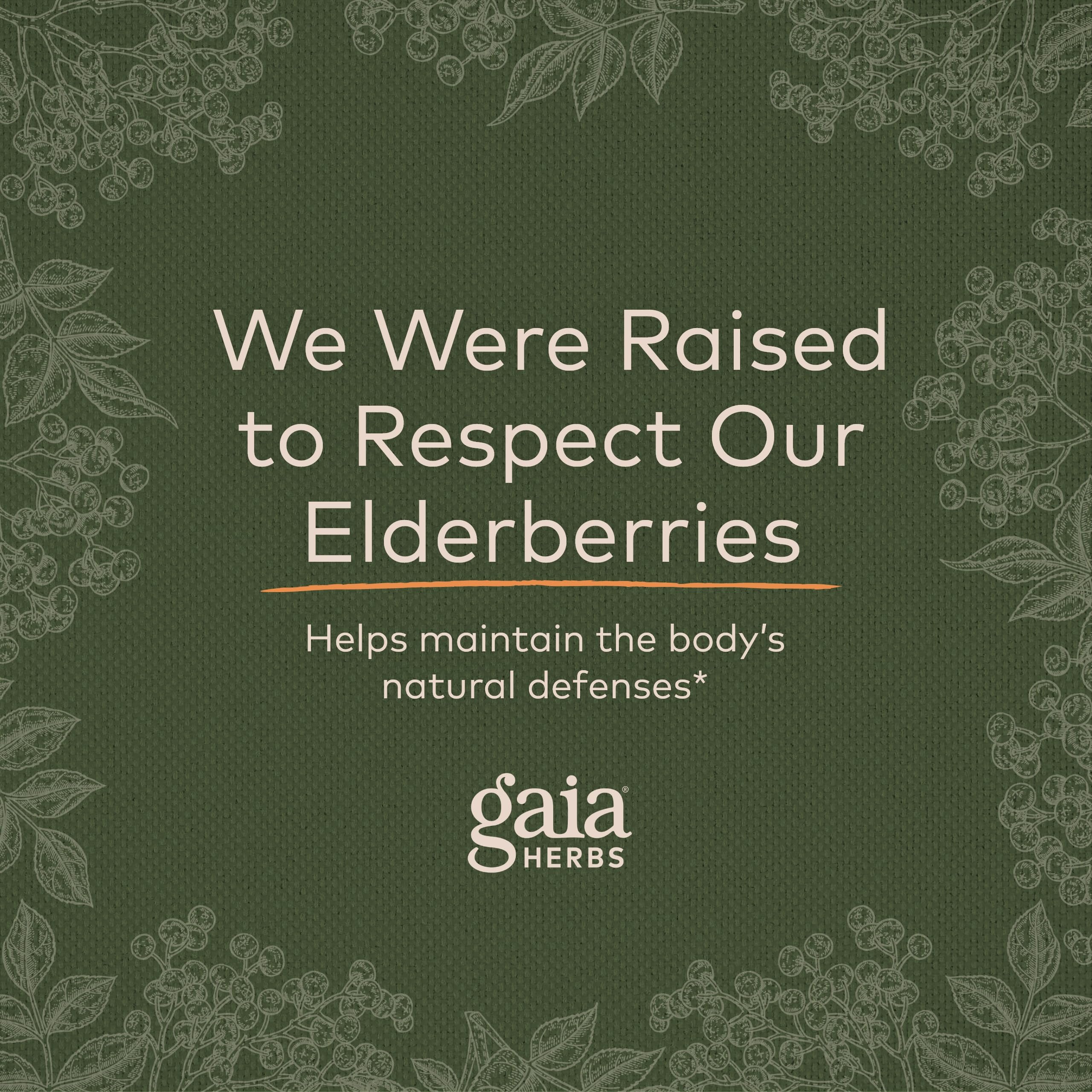 Gaia Herbs Black Elderberry (Sambucus Nigra) Extra Strength Gummies Gaia Herbs uk supplements