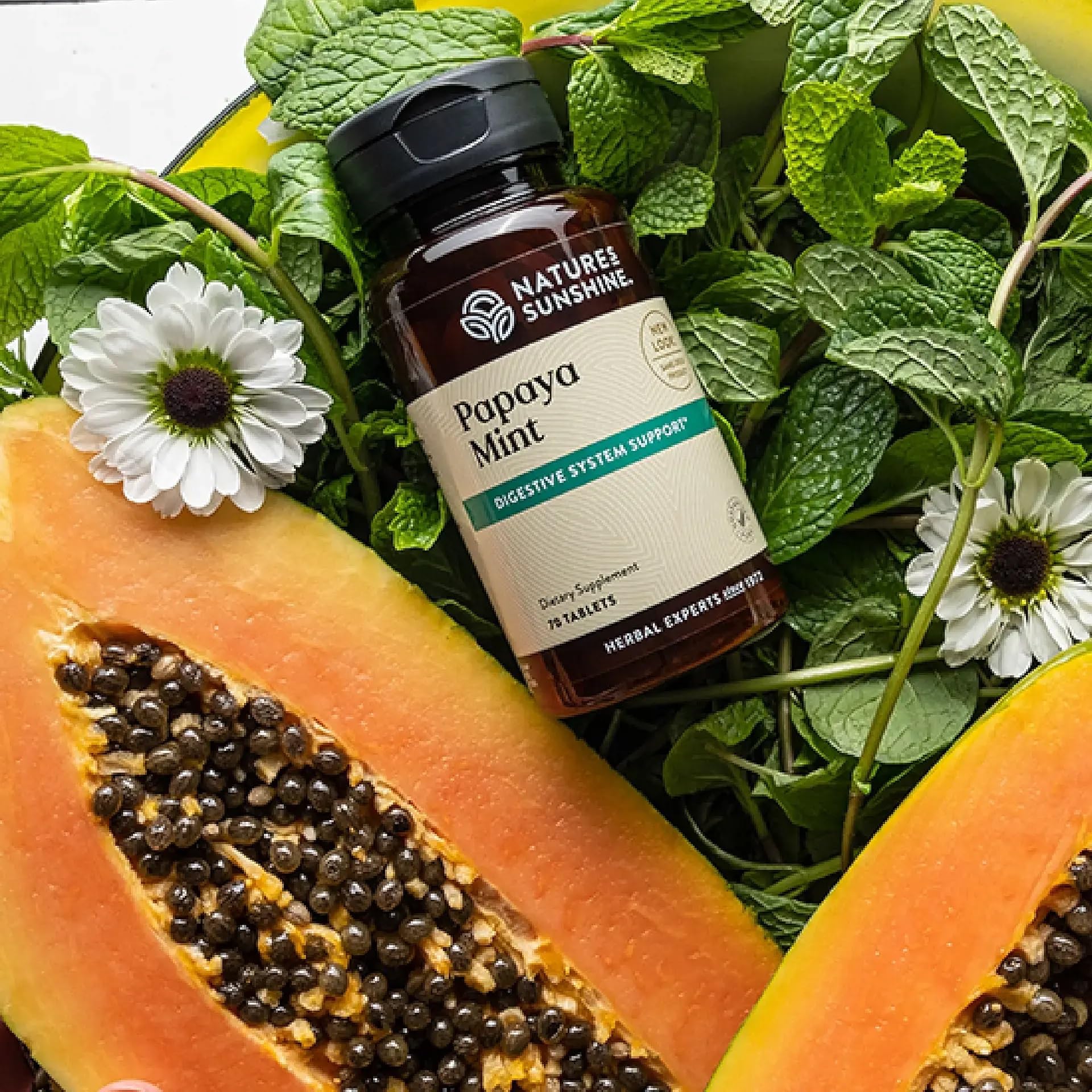 Papaya & Peppermint by Nature's Sunshine Nature's Sunshine uk supplements