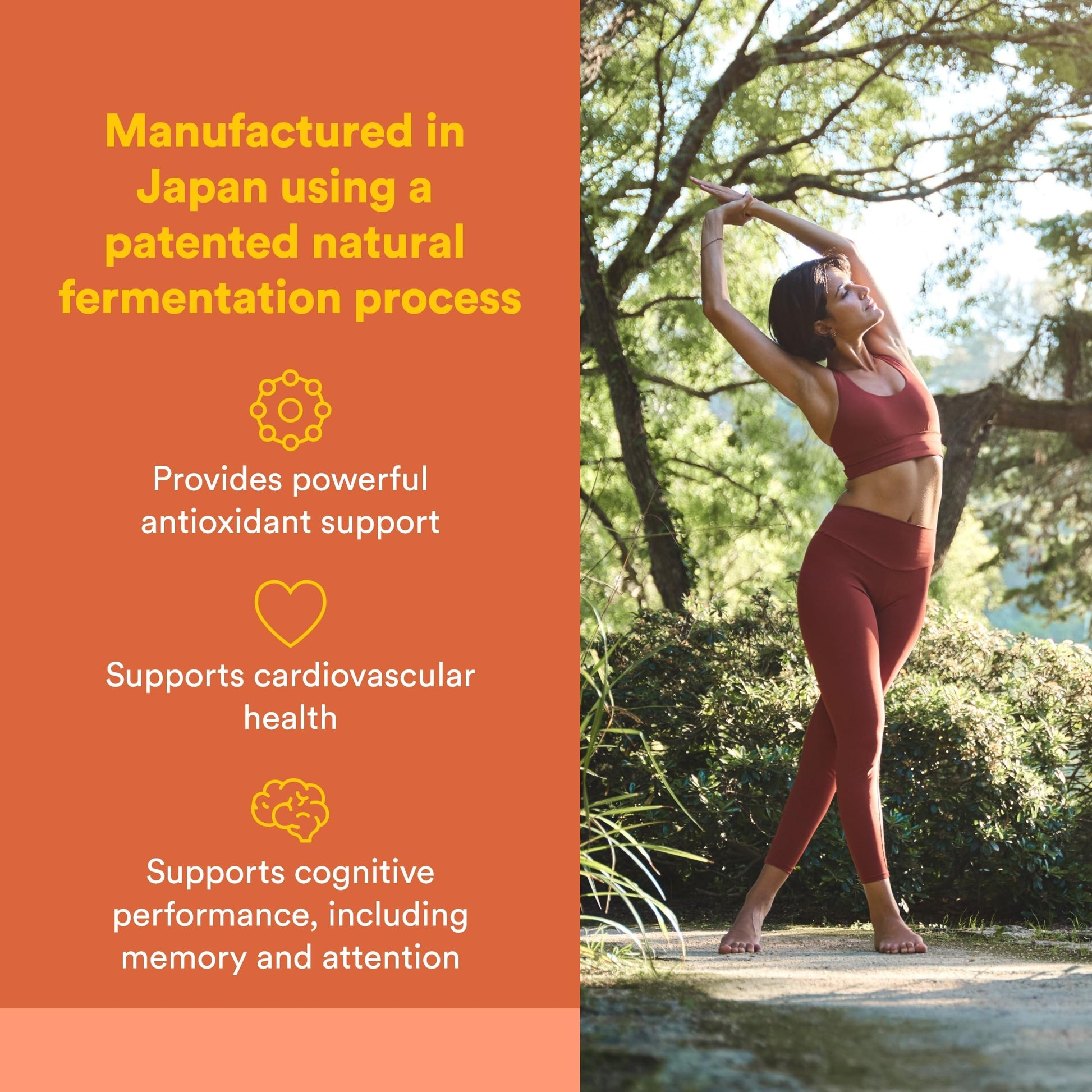 Natural Factors, PQQ-10, Supports Energy and Healthy Aging, Dietary Supplement, 60 softgels (60 servings) Natural Factors uk supplements