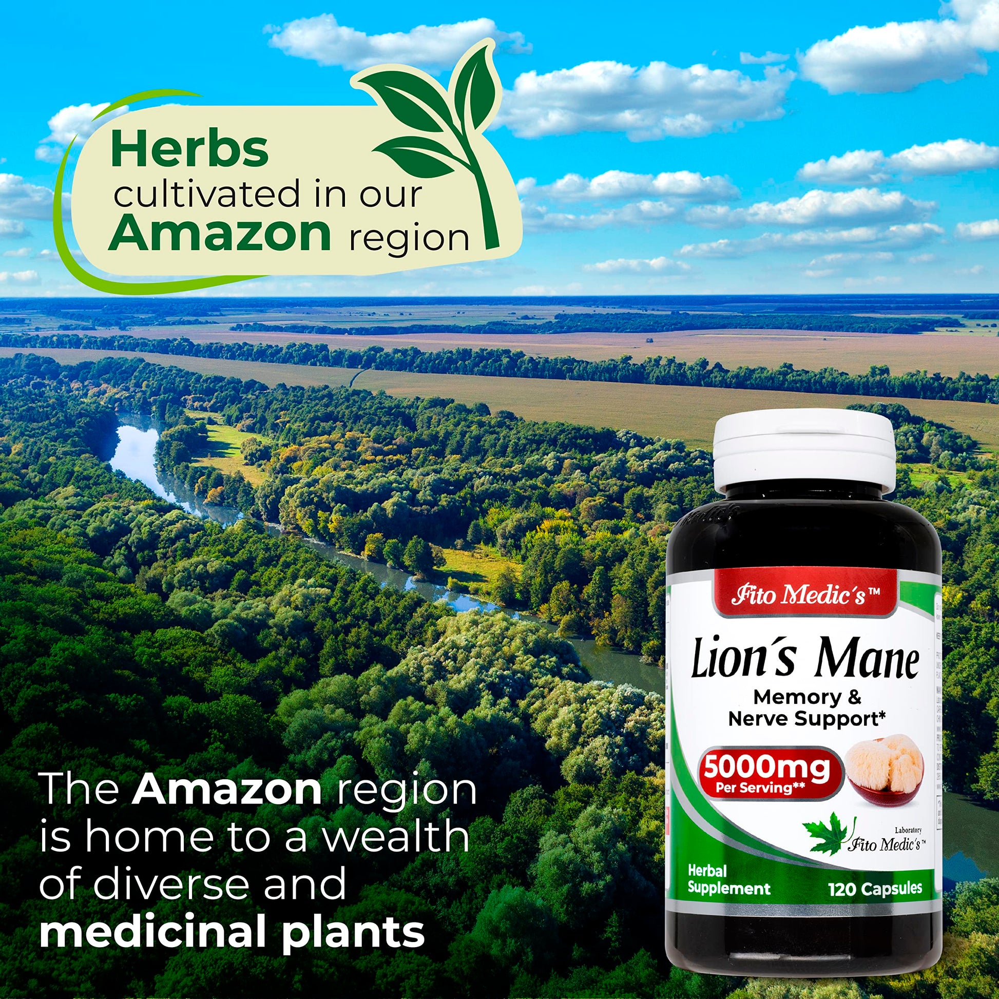 Lab | Lions Mane | 5000 mg per Serving | 120 Capsules | lions mane supplement | lions mane FITO MEDIC'S uk supplements