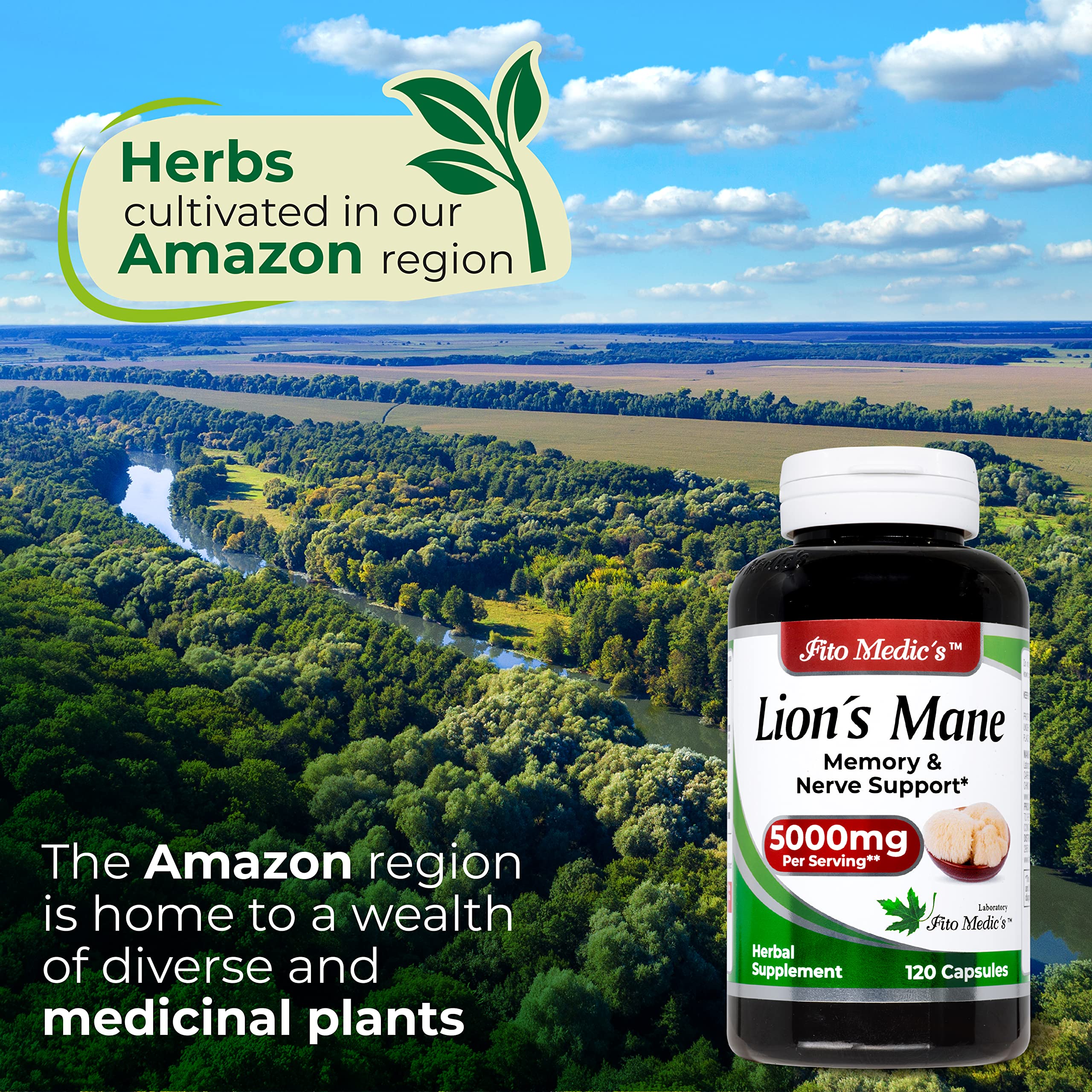 Lab | Lions Mane | 5000 mg per Serving | 120 Capsules | lions mane supplement | lions mane FITO MEDIC'S uk supplements