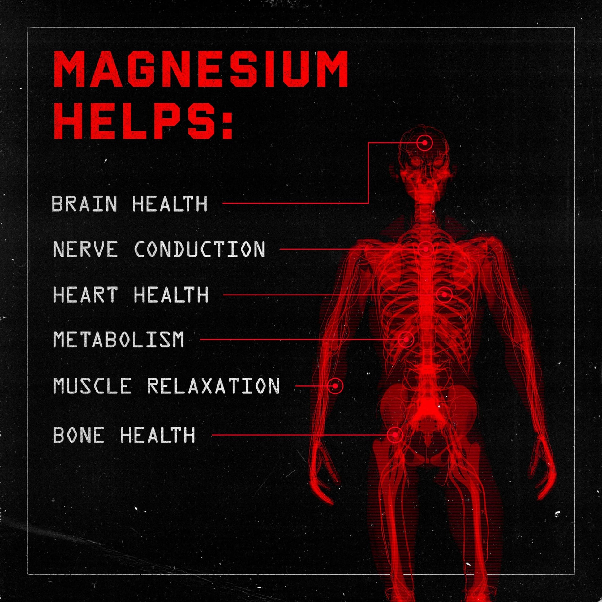 Jocko Fuel Magnesium Complex Supplement - Magnesium Glycinate, Citrate, & Taurate Capsules Dietary Supplement for Muscle Recovery & Relaxation, Heart, Nerve, Bone Support, & Sleep 30-Day Supply Jocko Fuel uk supplements