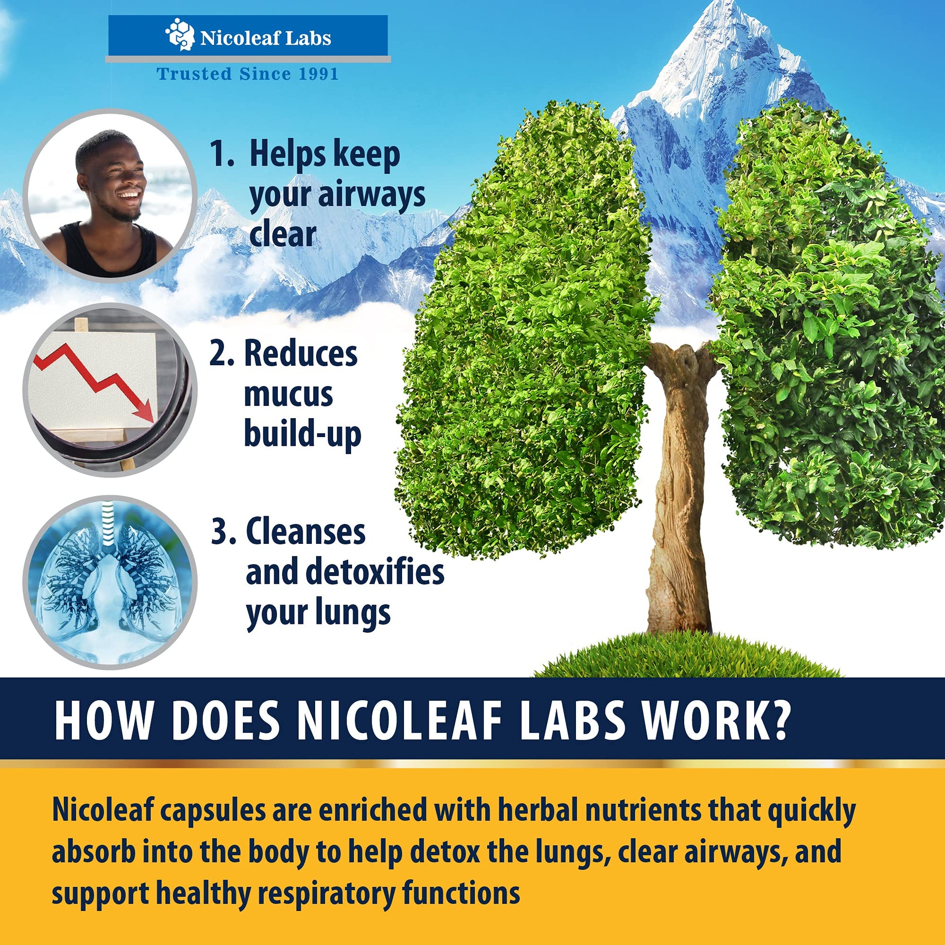 Smoker's Cleanse - Quit Smoking Aid & Respiratory Support - Made in USA NICOLEAF LABS uk supplements