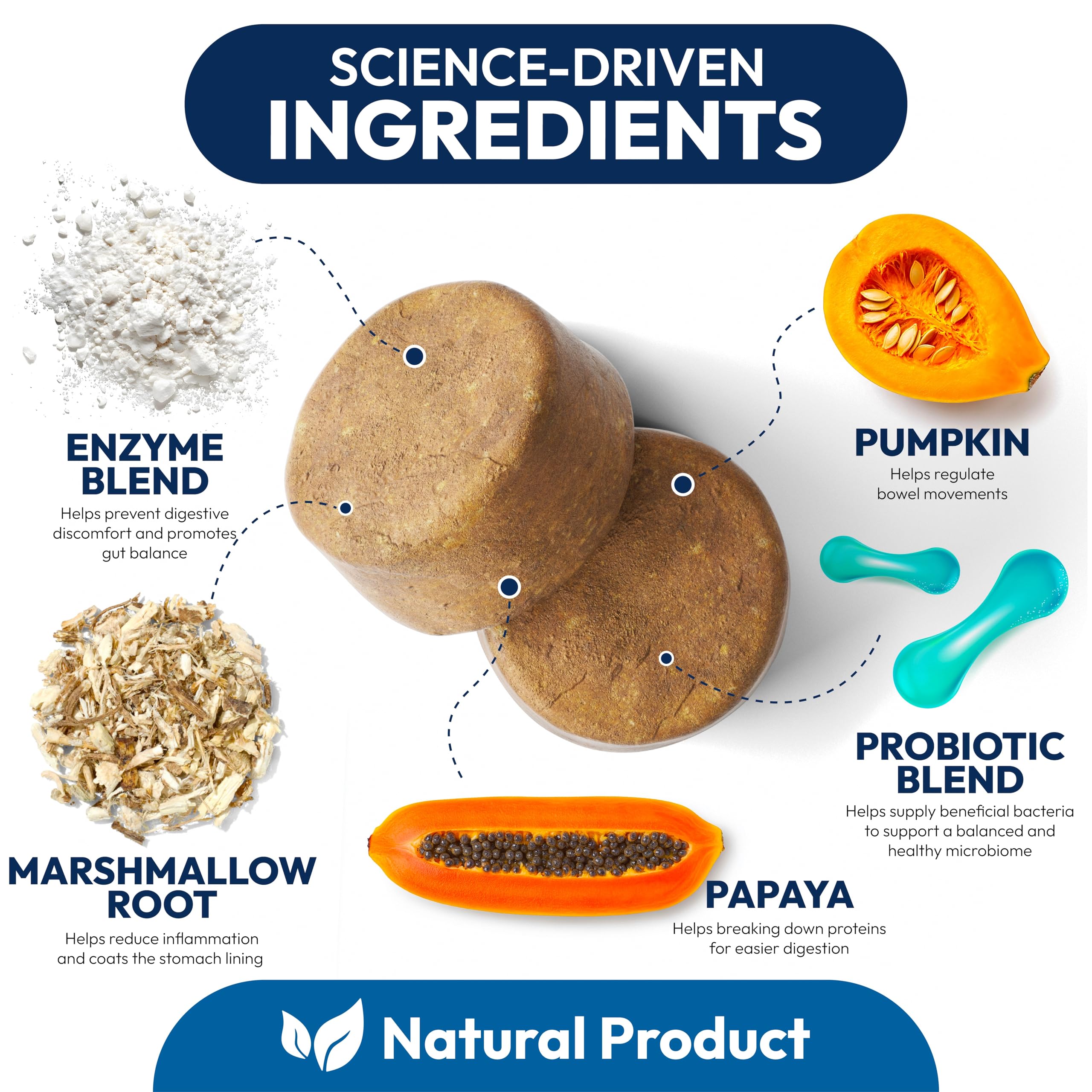 Probiotics for Dogs - 170 Dog Probiotics Chews - Digestive Enzymes & Prebiotics - Support Gut Health, Diarrhea, Gas & Constipation Relief - Itchy Skin, Allergies, Yeast Balance - Advanced Supplement Petsology uk supplements