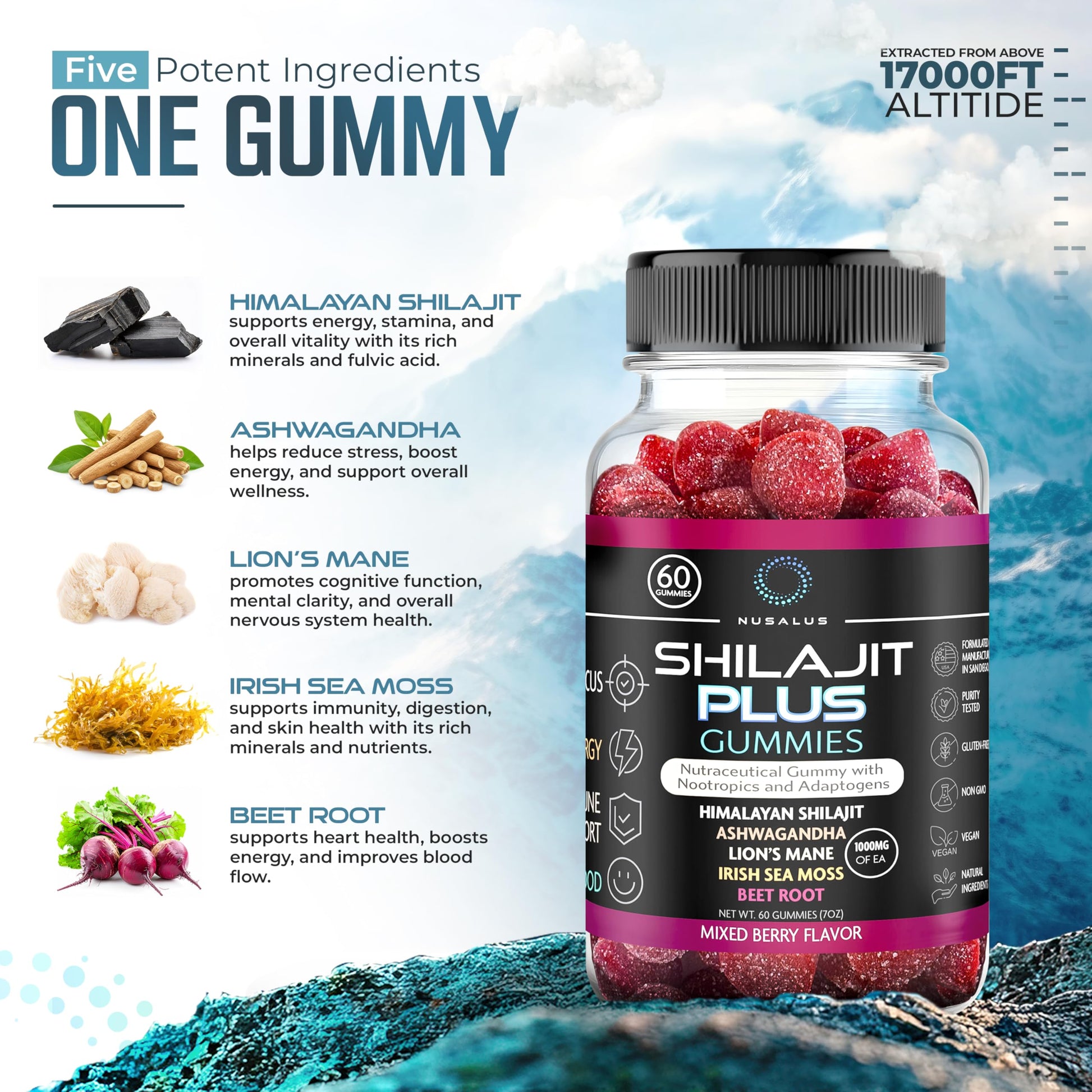 Nusalus Shilajit Plus Gummies – 5-in-1 Adaptogen Energy & Focus Supplement | Shilajit, Ashwagandha, Lion’s Mane, Sea Moss & Beet Root | Natural Energy & Stress Support | Made in USA, Vegan, 60ct Nusalus uk supplements