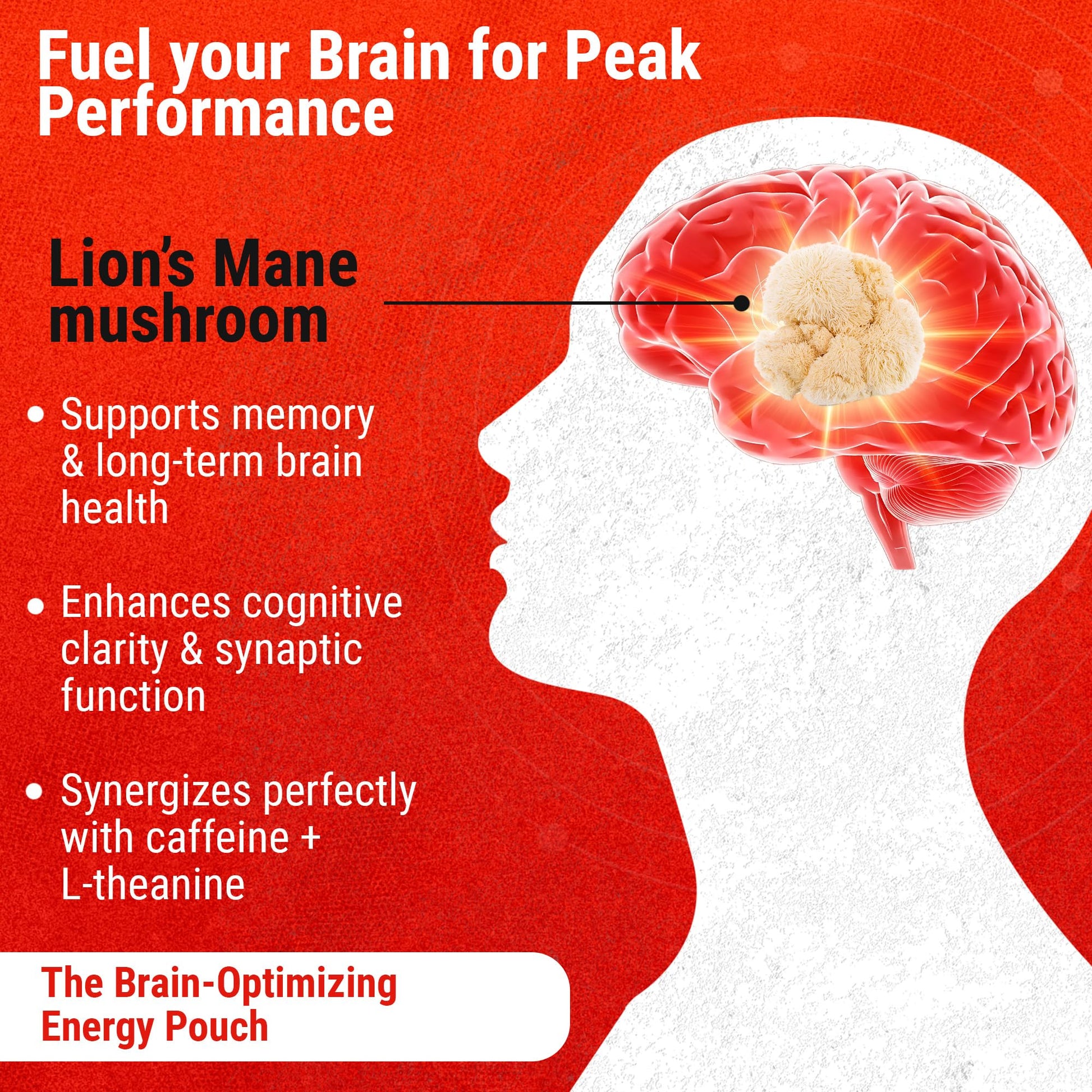 Cannadips - Brain Fuel Variety Pack - Nootropic Caffeine Pouches - 50mg Lion's Mane, 100mg Caffeine, 50mg L-Theanine, No Sugar - Clean Energy Brain Fuel for Cognitive Performance, Made in USA (5-PACK) Cannadips uk supplements