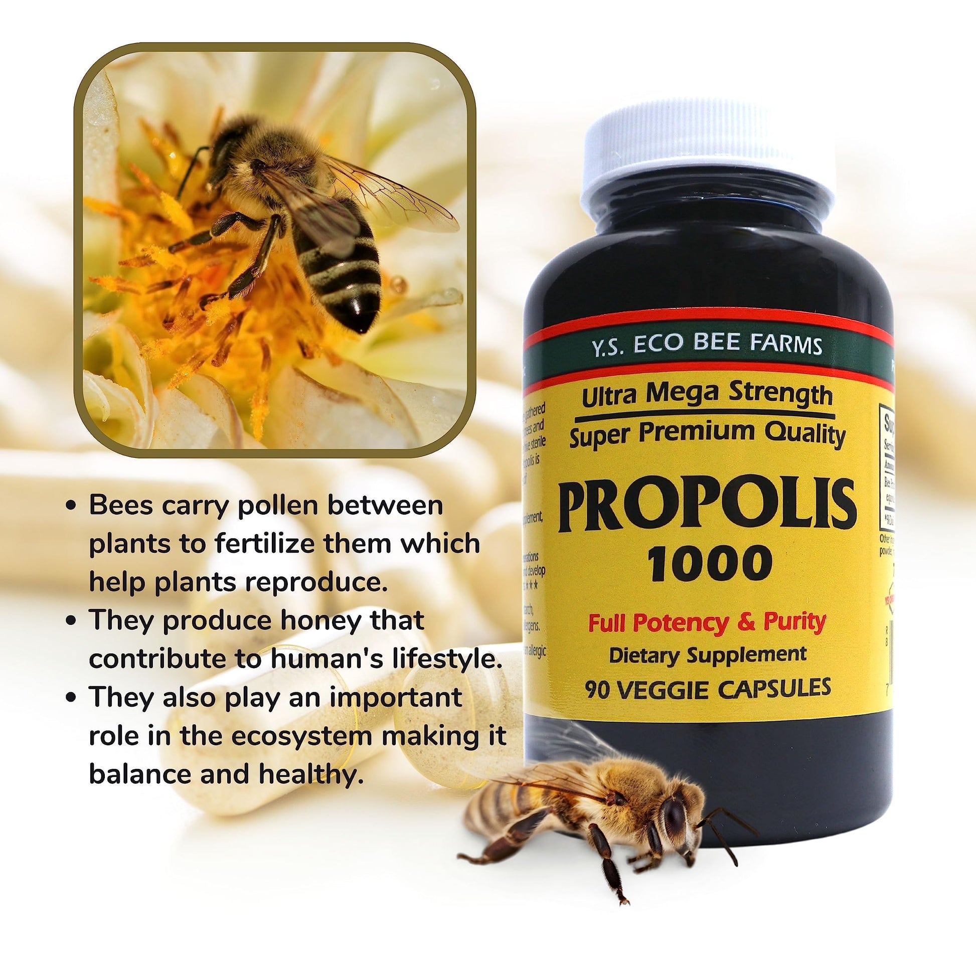 Y.S. Organic Bee Farms Propolis-Raw Unprocessed 1000mg - Your Gateway to Wellness - 90 Capsules with Bonus worldwidenutrition Multi Purpose Key Chain Worldwide Nutrition uk supplements