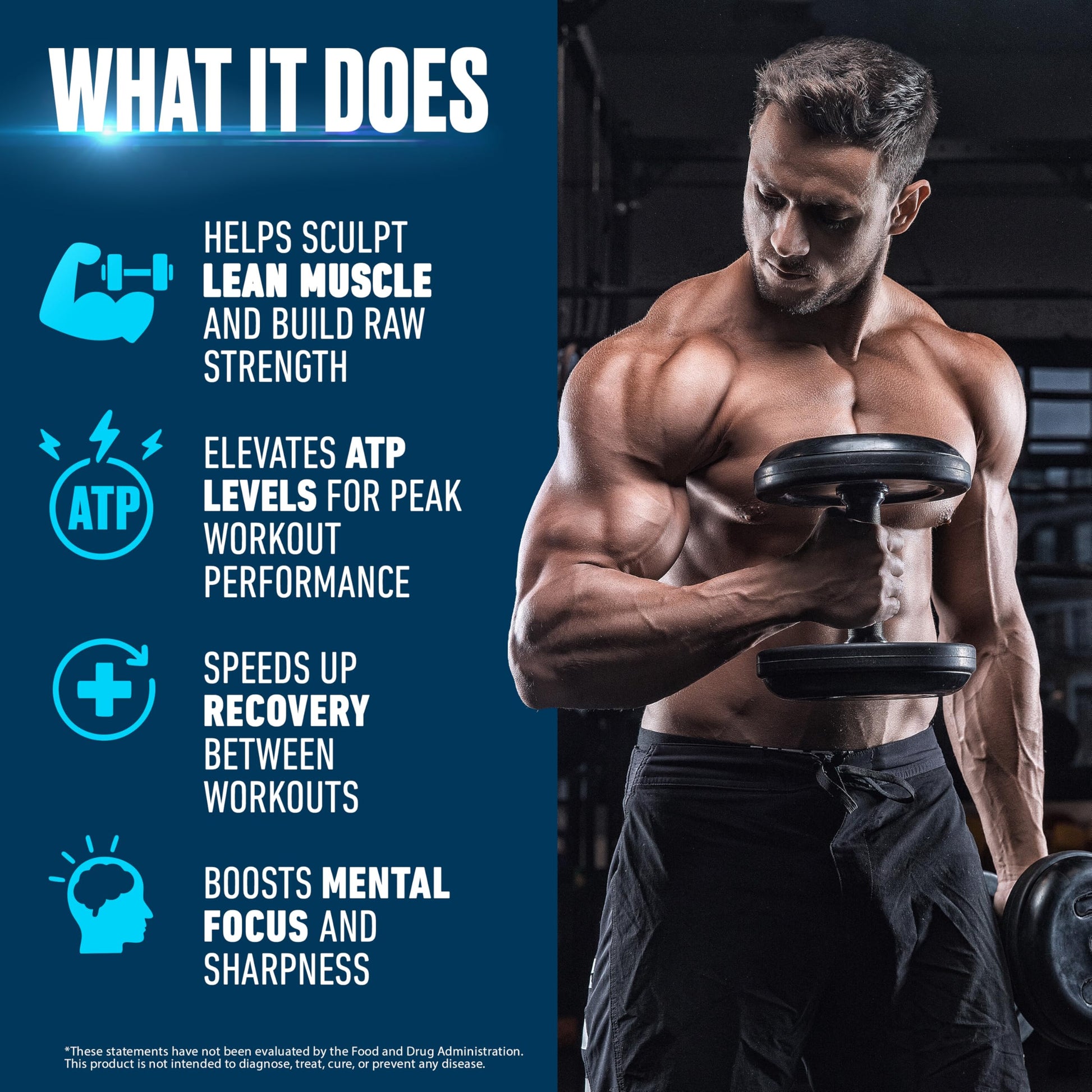 Creatine Monohydrate Powder 500g – Supports Muscle Growth, Strength & Cognitive Function*, 5g per Serv - 100 Servings, Pure Micronized Creatine for Enhanced Performance, Unflavored, 17.9 oz SCHIFFER HEALTH uk supplements