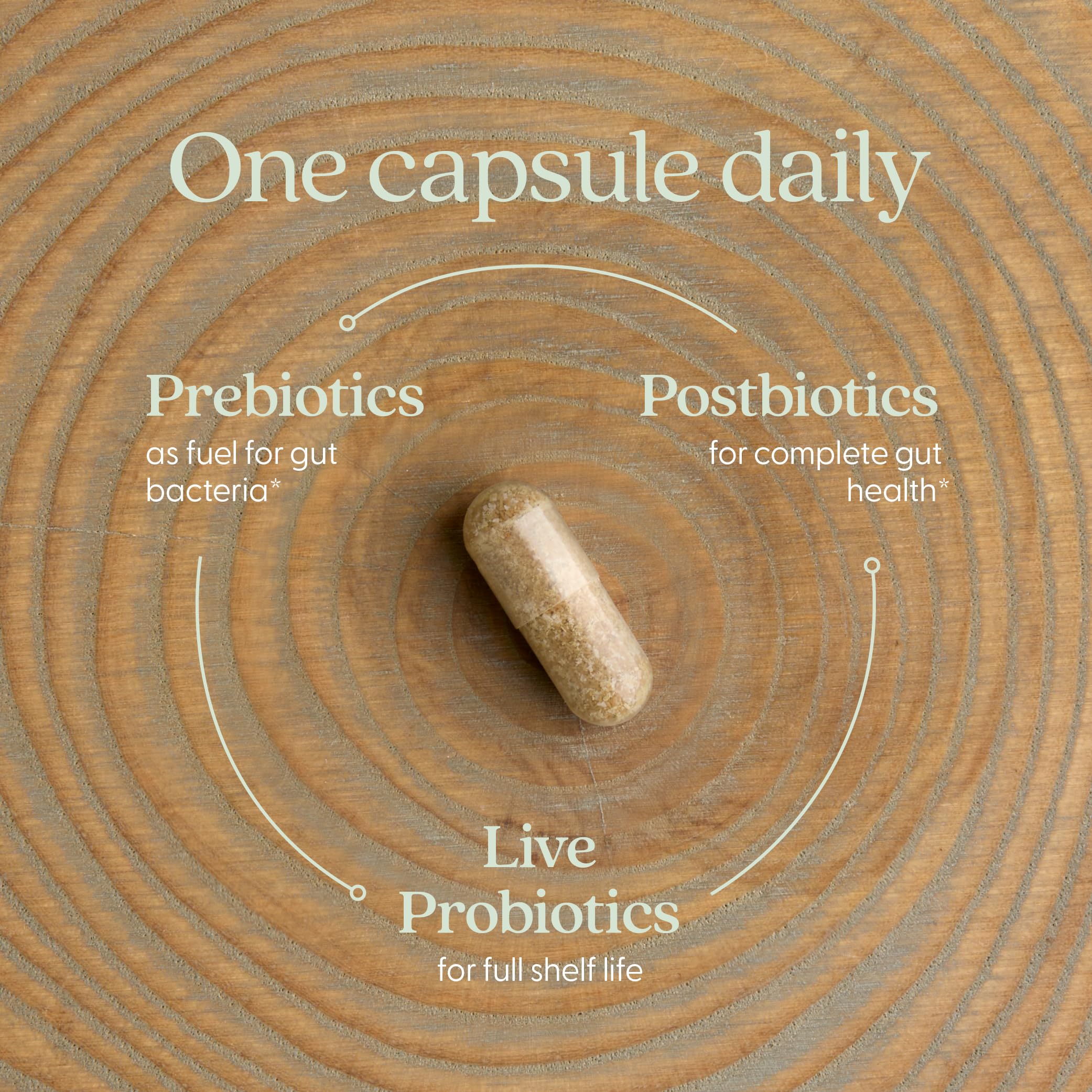New Chapter All-Flora Probiotic for Advanced Digestion & Complete Gut Health with Prebiotics + Postbiotics, Clinical-Strength Strains, 100% Vegetarian, Non-GMO, Shelf Stable - 60 ct (2 Month Supply) New Chapter uk supplements