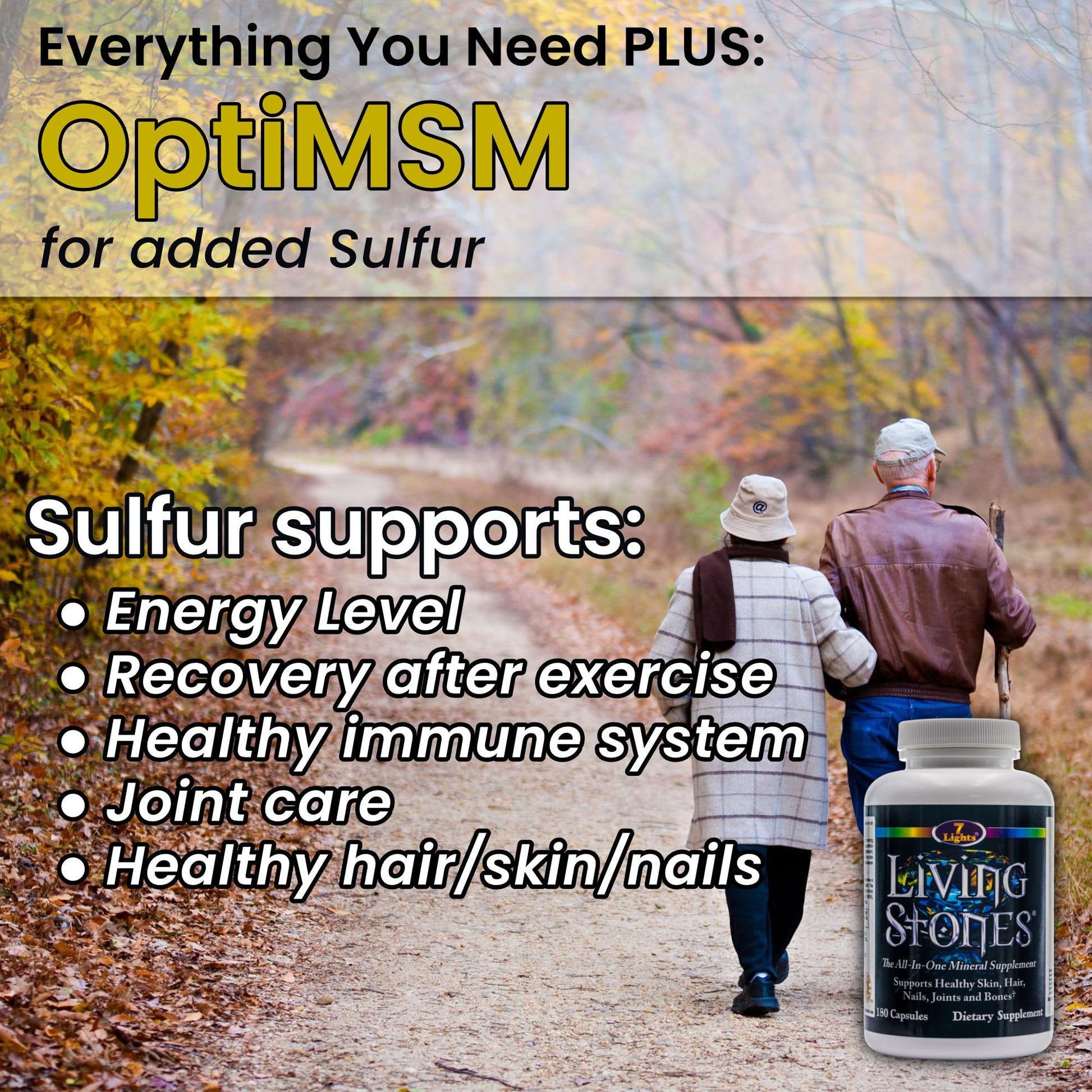 Living Stones, Complete Mineral Supplement with Zinc, Calcium, Magnesium, Selenium, Trace Minerals, No Added Iron, with MSM (Organic Sulfur) and Shilajit, Premium Absorption (30-Day Supply - 180 Caps) 7 Lights uk supplements