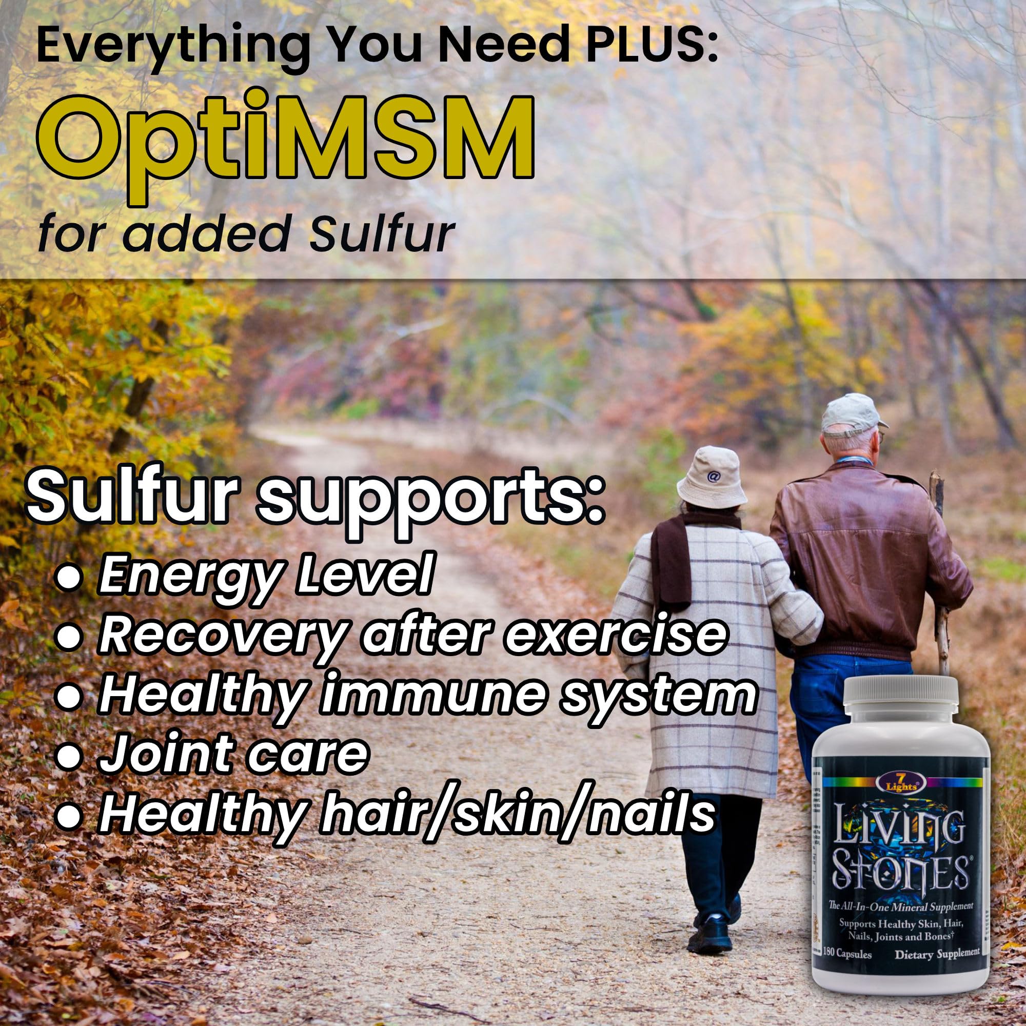 Living Stones, Complete Mineral Supplement with Zinc, Calcium, Magnesium, Selenium, Trace Minerals, No Added Iron, with MSM (Organic Sulfur) and Shilajit, Premium Absorption (30-Day Supply - 180 Caps) 7 Lights uk supplements