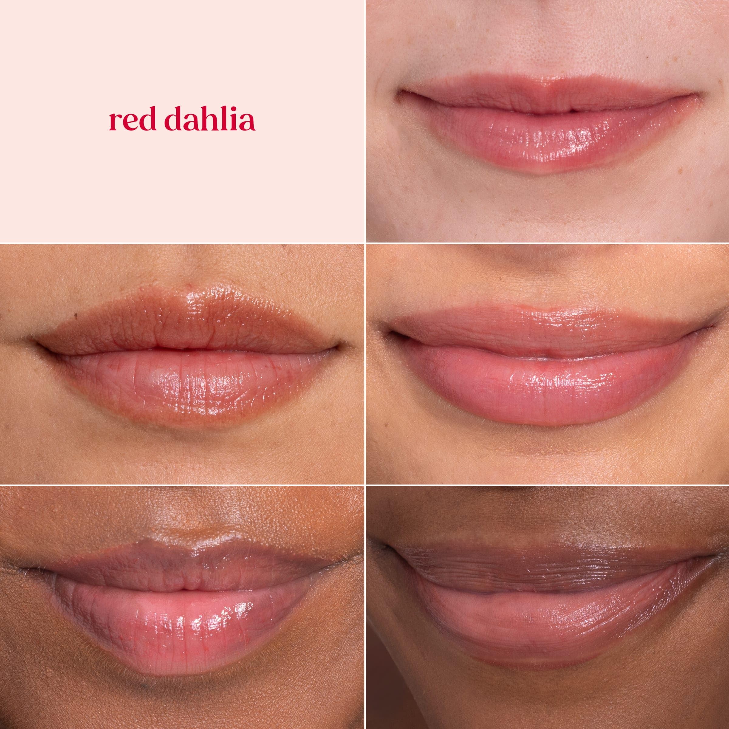 Burt's Bees Lip Tint Balm with Long Lasting 2 in 1 Duo Tinted Balm Formula, Color Infused with Deeply Hydrating Shea Butter