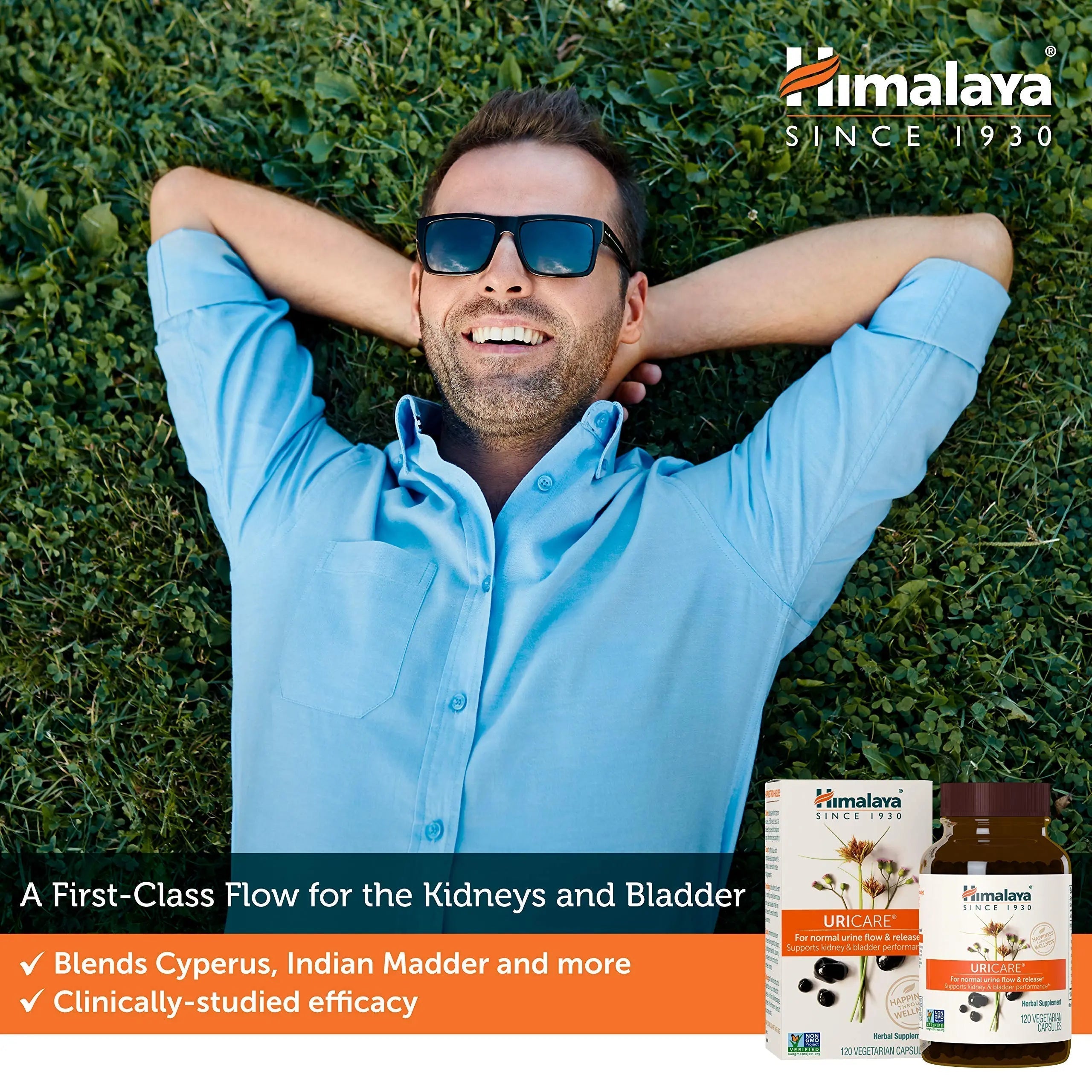 Himalaya UriCare Herbal Supplement, Kidney & Bladder Support, Urinary Tract & Urine Flow Support, Caffeine Free, Non-GMO, Gluten Free, Vegetarian, 240 Capsules, 60 Day Supply Himalaya uk supplements
