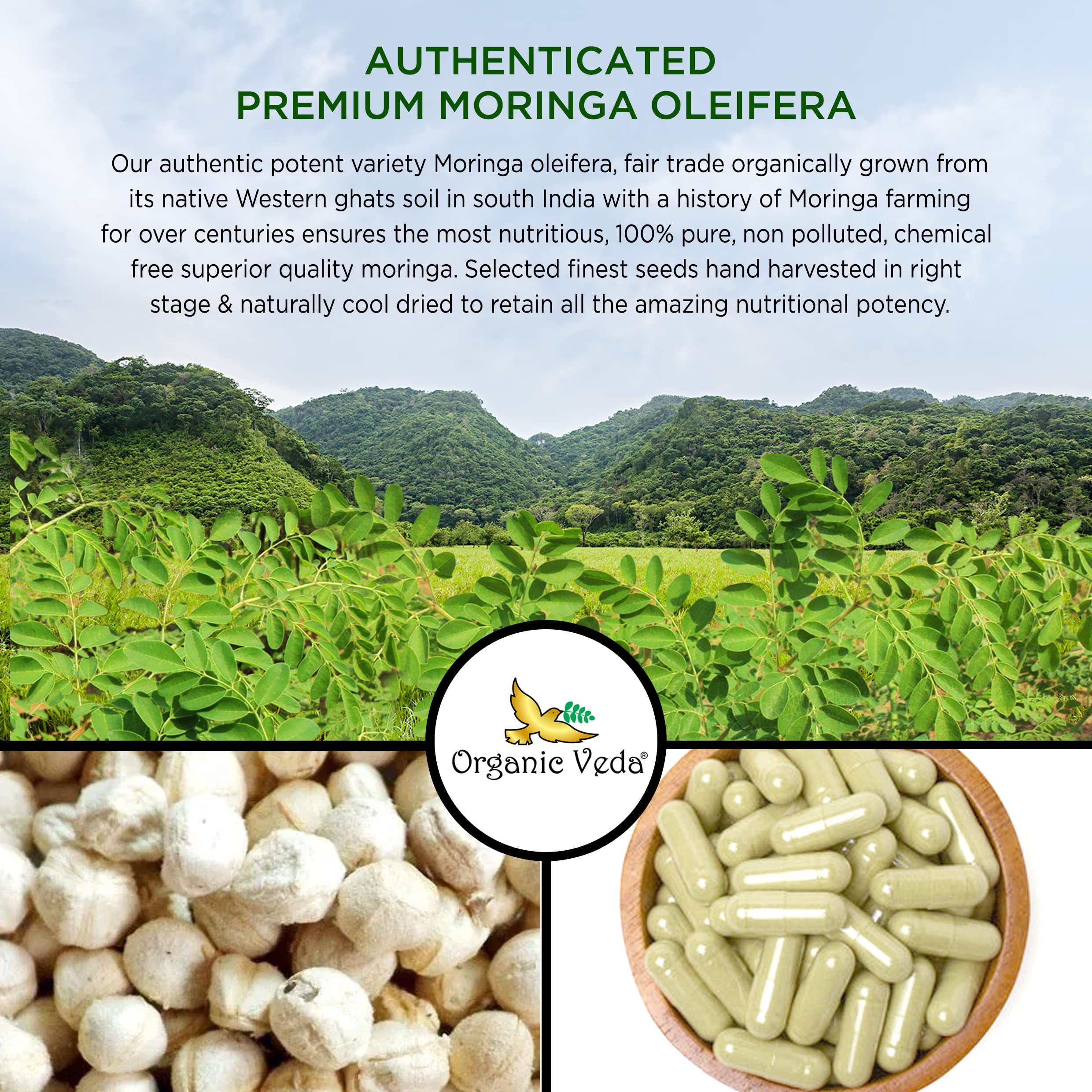 Organic Veda Moringa Seed Capsules - Pure Organic Moringa Capsules Seed Powder Organic Veda uk supplements