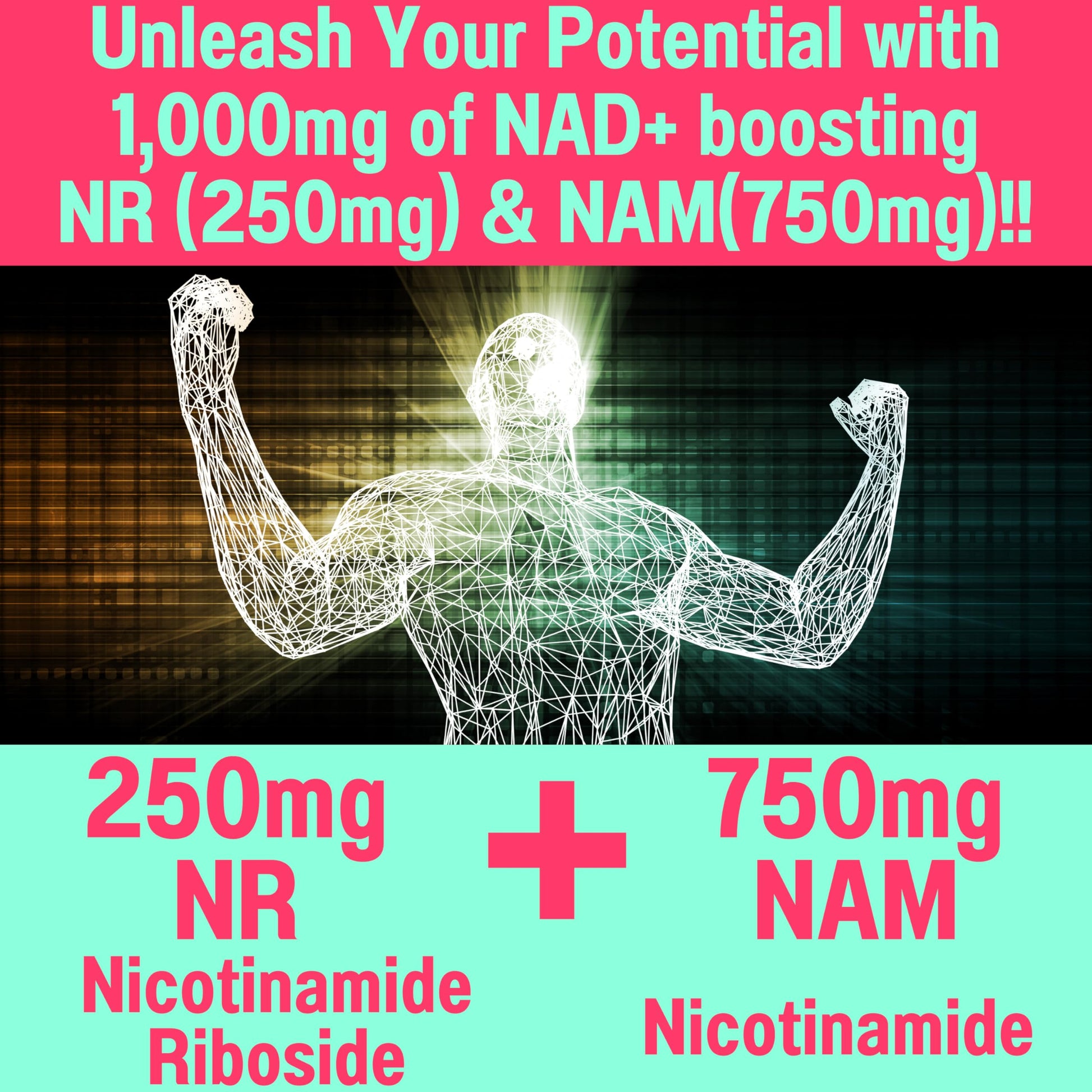 SHIZAM Nicotinamide Riboside NR NAM Resveratrol Gummies, 1000mg NAD+ NAD + Plus Nrf2 Activator Booster w Pure Niacinamide Vitamins B3 Capsules Pills Powder Supplements Alt NDA Regenerator 500mg SHIZAM uk supplements