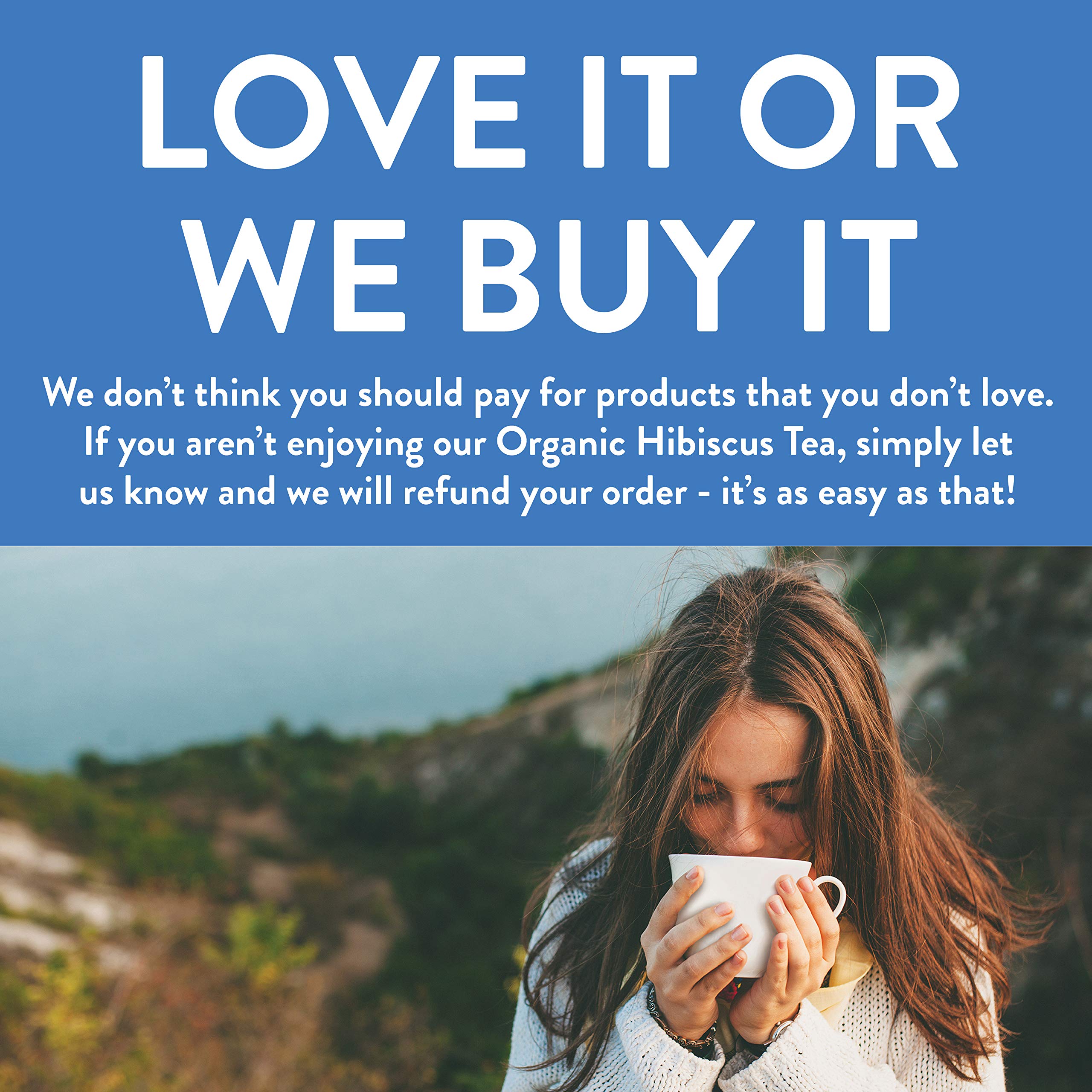 FGO Organic Hibiscus Tea, Eco-Conscious Tea Bags, 100 Count, Packaging May Vary FGO uk supplements