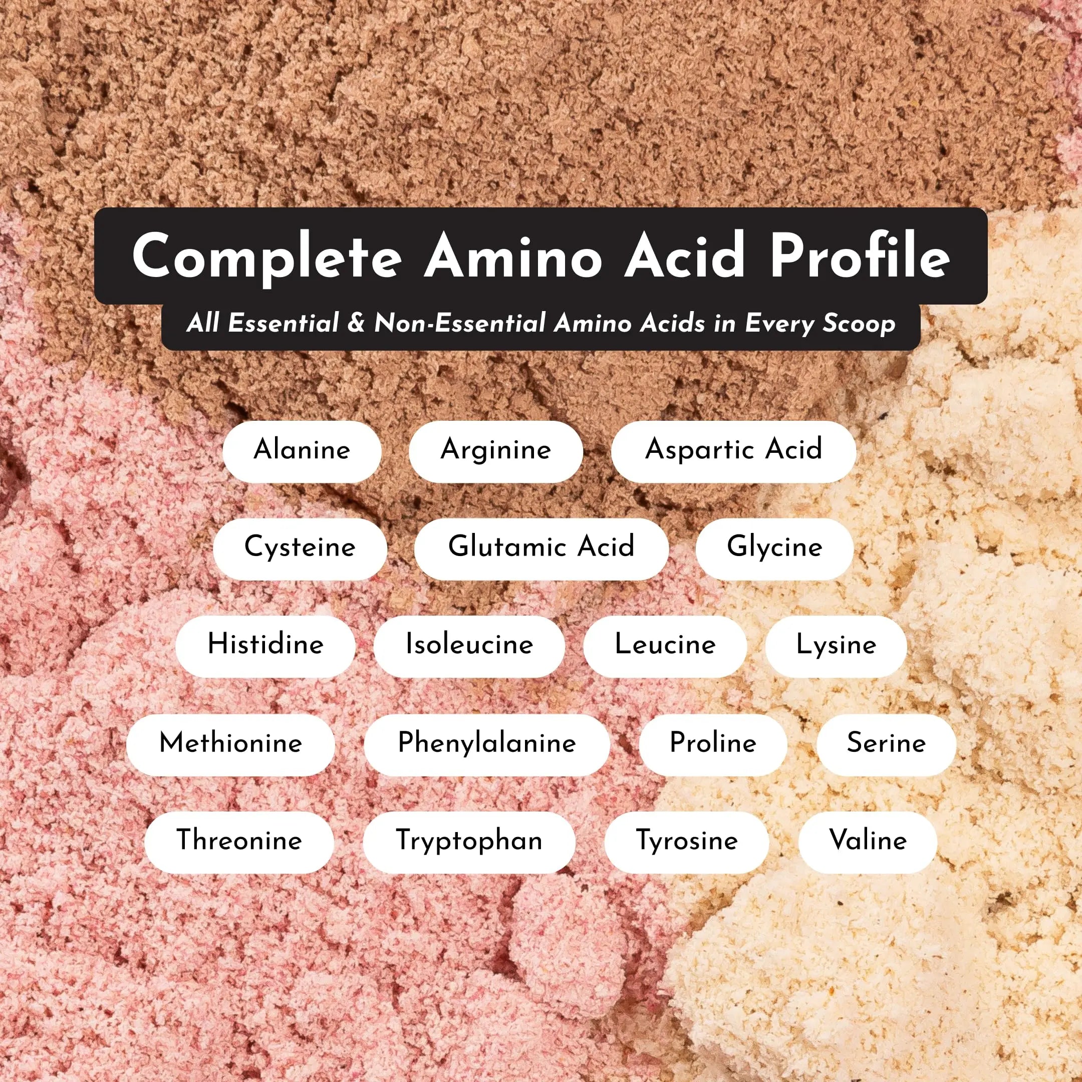 JUST INGREDIENTS Vanilla Protein Powder - Grass-Fed Whey Blend, Organic, Gluten Free, Dairy Free, Soy Free - 15 Servings, 22g Protein JUST INGREDIENTS uk supplements