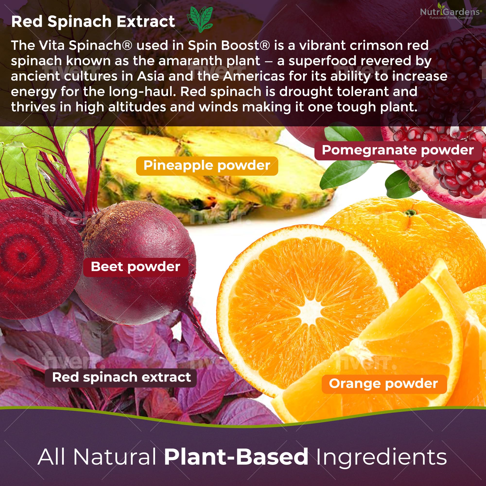 Nutrigardens Spin Boost Nitric Oxide Red Spinach Nitrate Pre-Workout Powder Concentrated Nutrigardens uk supplements