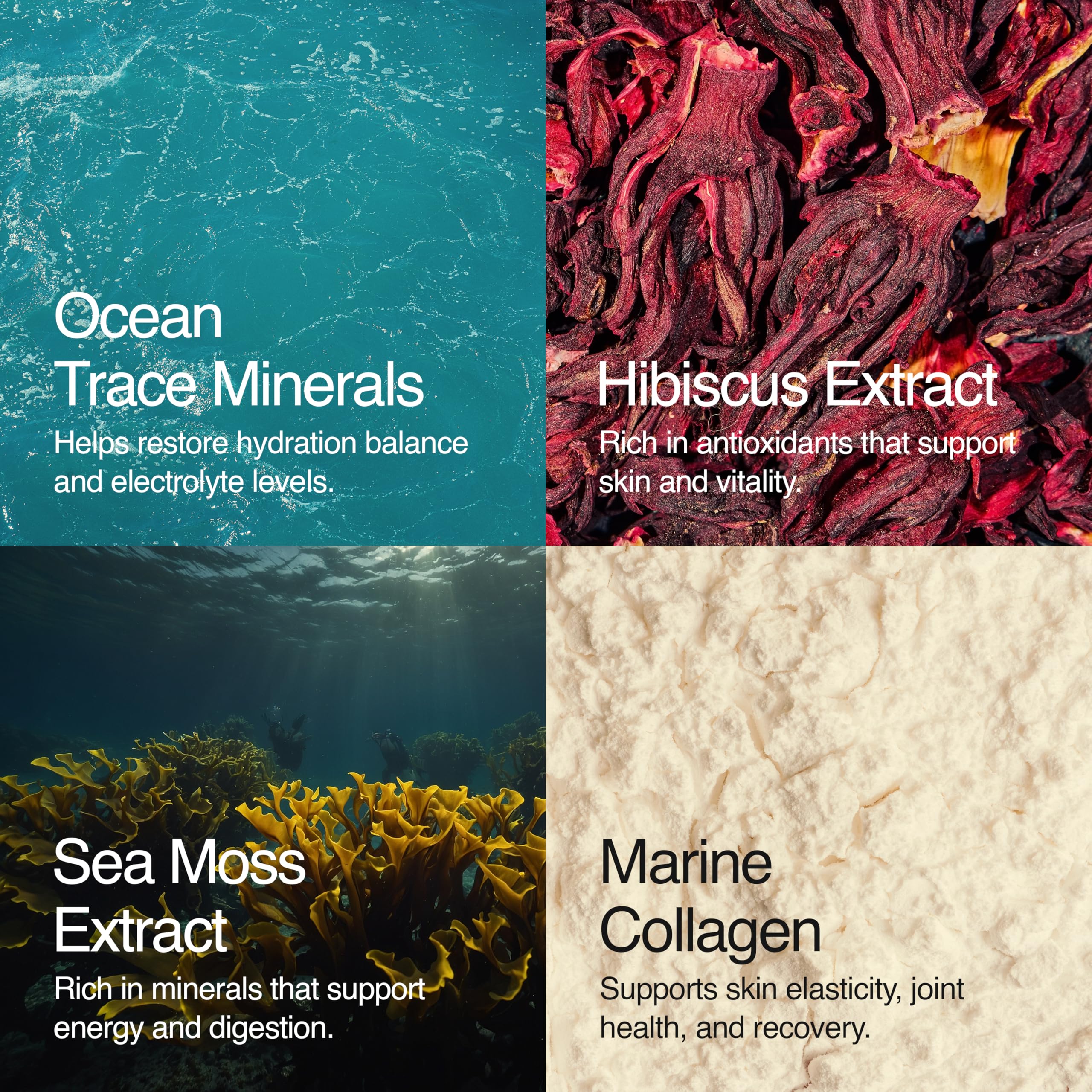 Sea Bloom Labs Marine Collagen Powder Stick Packs with Sea Moss Powder and Electrolytes, Hydration and Beauty Blend - Mango (8-Pack) Sea Bloom Labs uk supplements