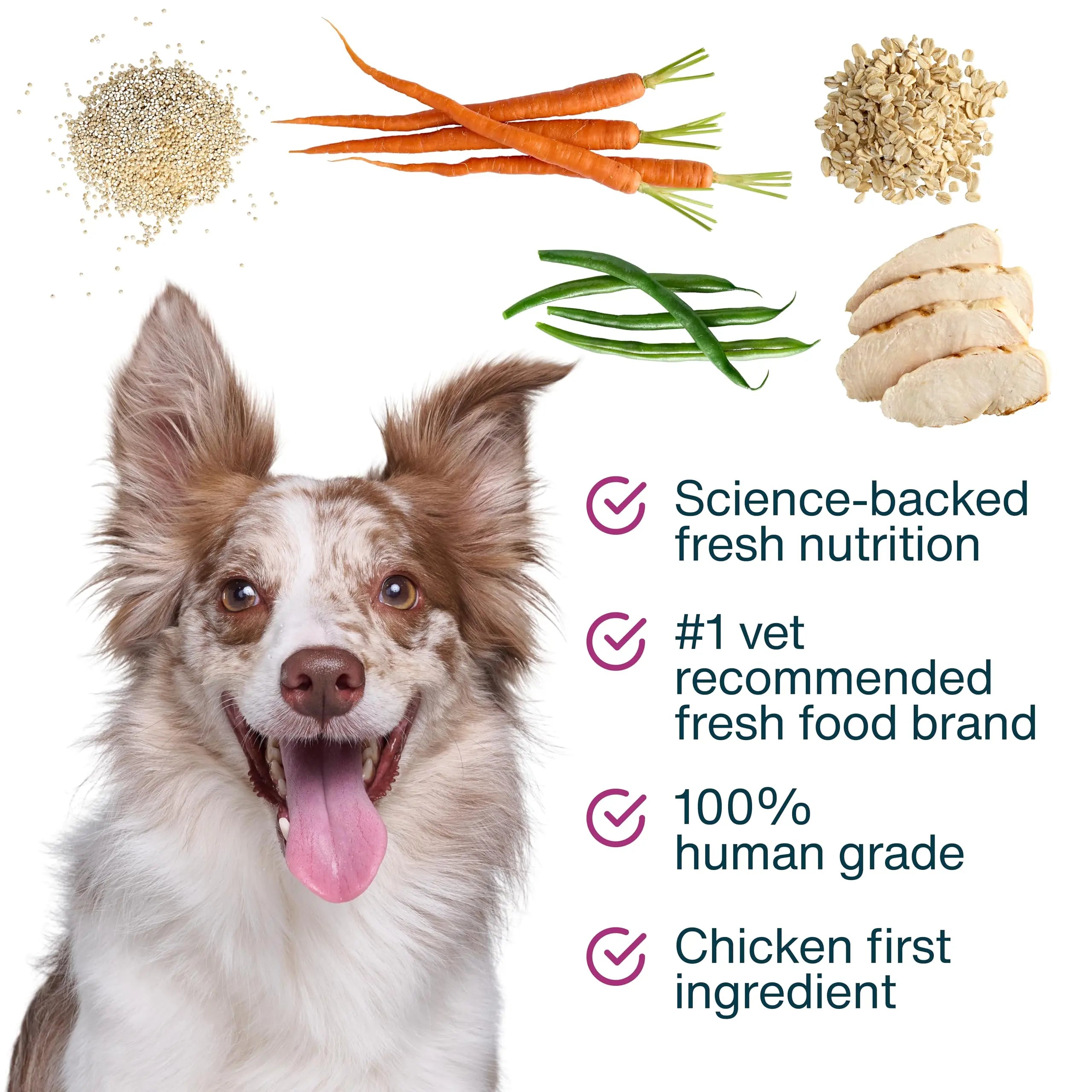 JustFoodForDogs JustFresh Boosts Hip & Joint Support Dog Food Toppers with Glucosamine to Support Hip Mobility & Joint Flexibility, Human-Grade Fresh Pet Meal Booster, 8 oz Pouches - 8 Pack JustFoodForDogs uk supplements
