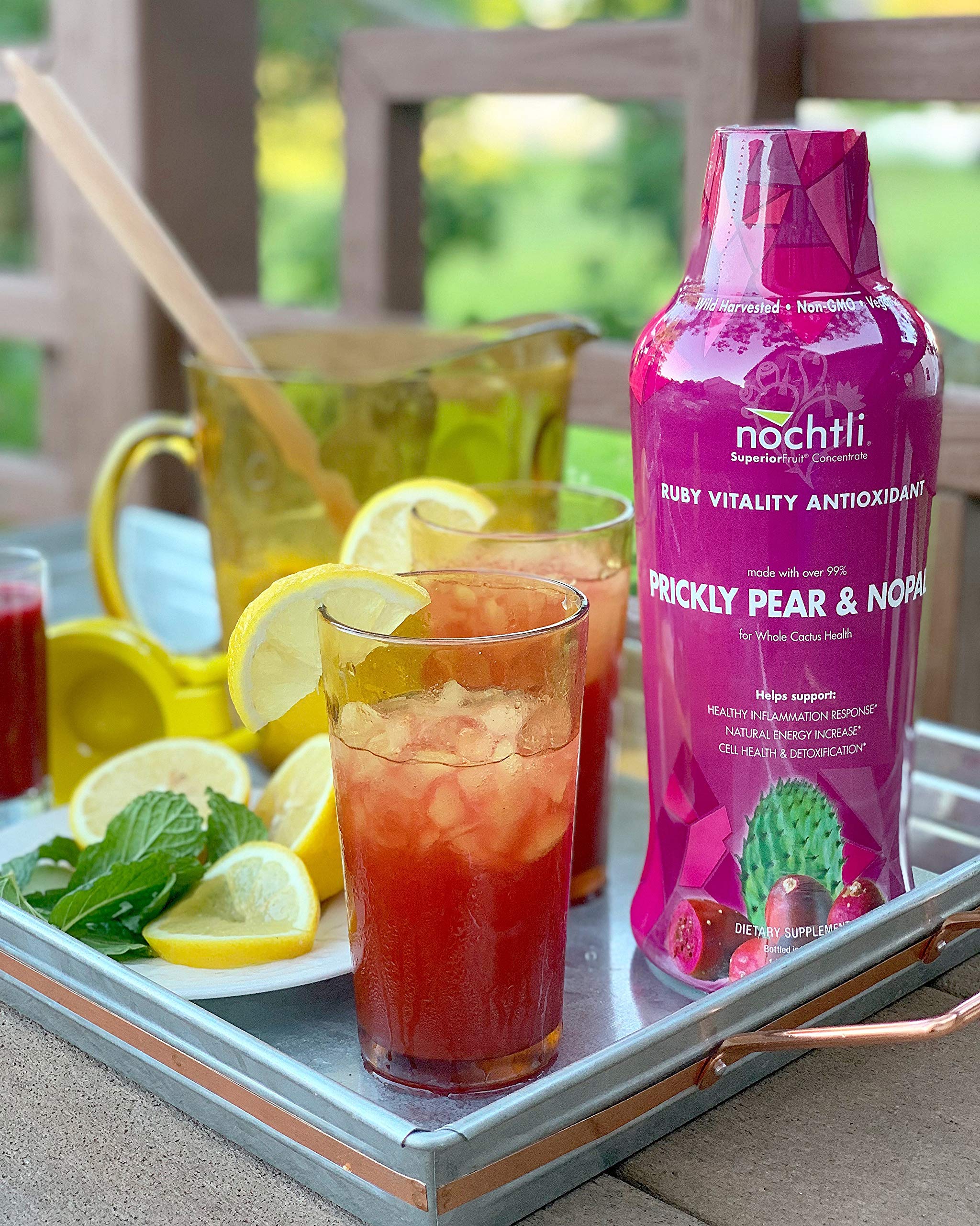 nochtli Recover Prickly Pear Liquid Supplement 1L (4-pack) Nochtli SuperiorFruit uk supplements