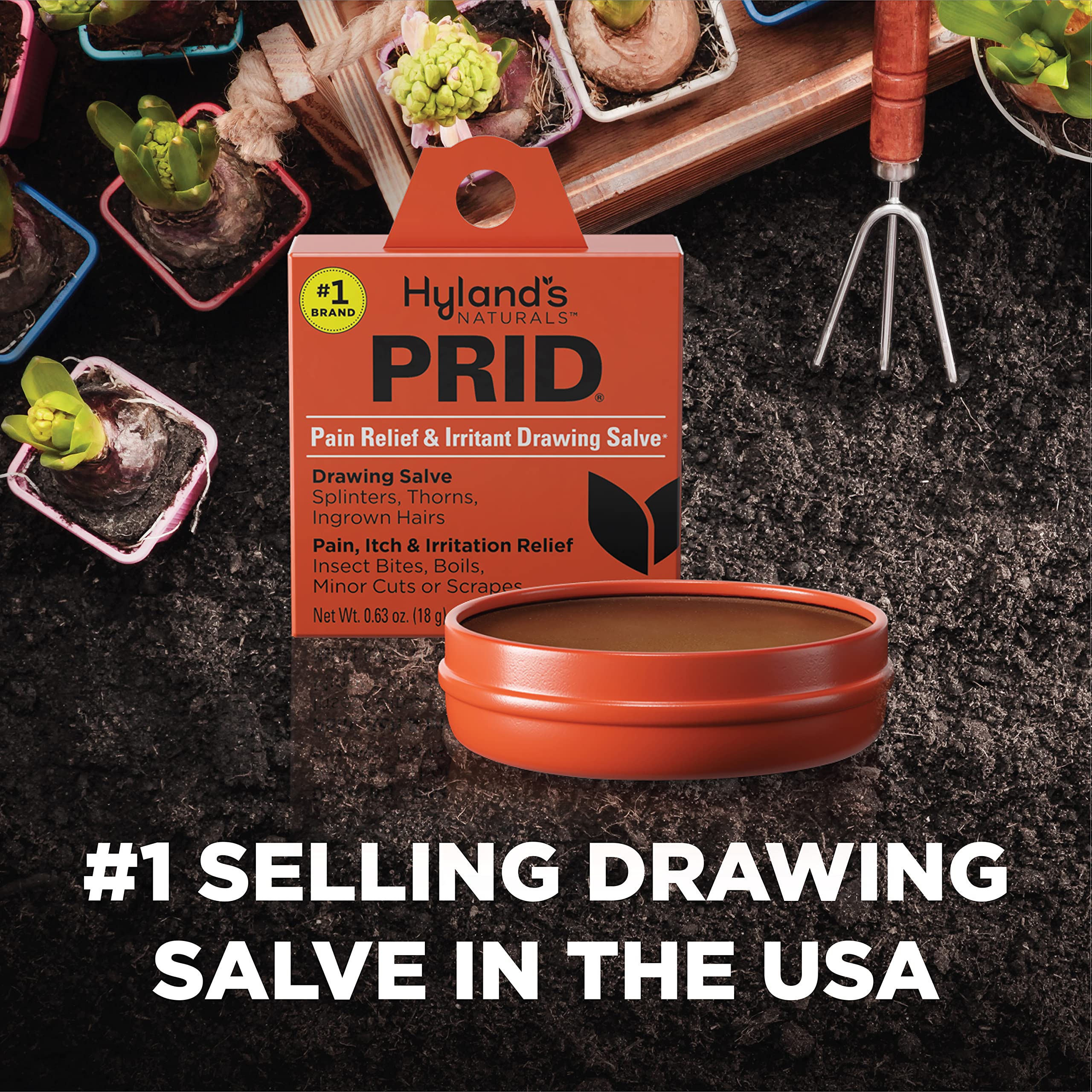 Hyland's PRID Drawing Salve Naturals (2 Pack) Hyland's uk supplements