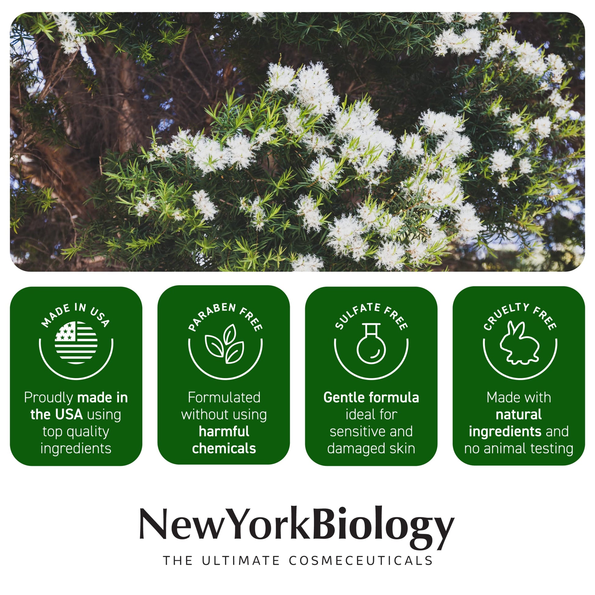 New York Biology Tea Tree Oil Foot Cream for Dry Cracked Feet, Athletes Foot, Nail Fungus NEW YORK BIOLOGY THE ULTIMATE COSMECEUTICALS uk supplements