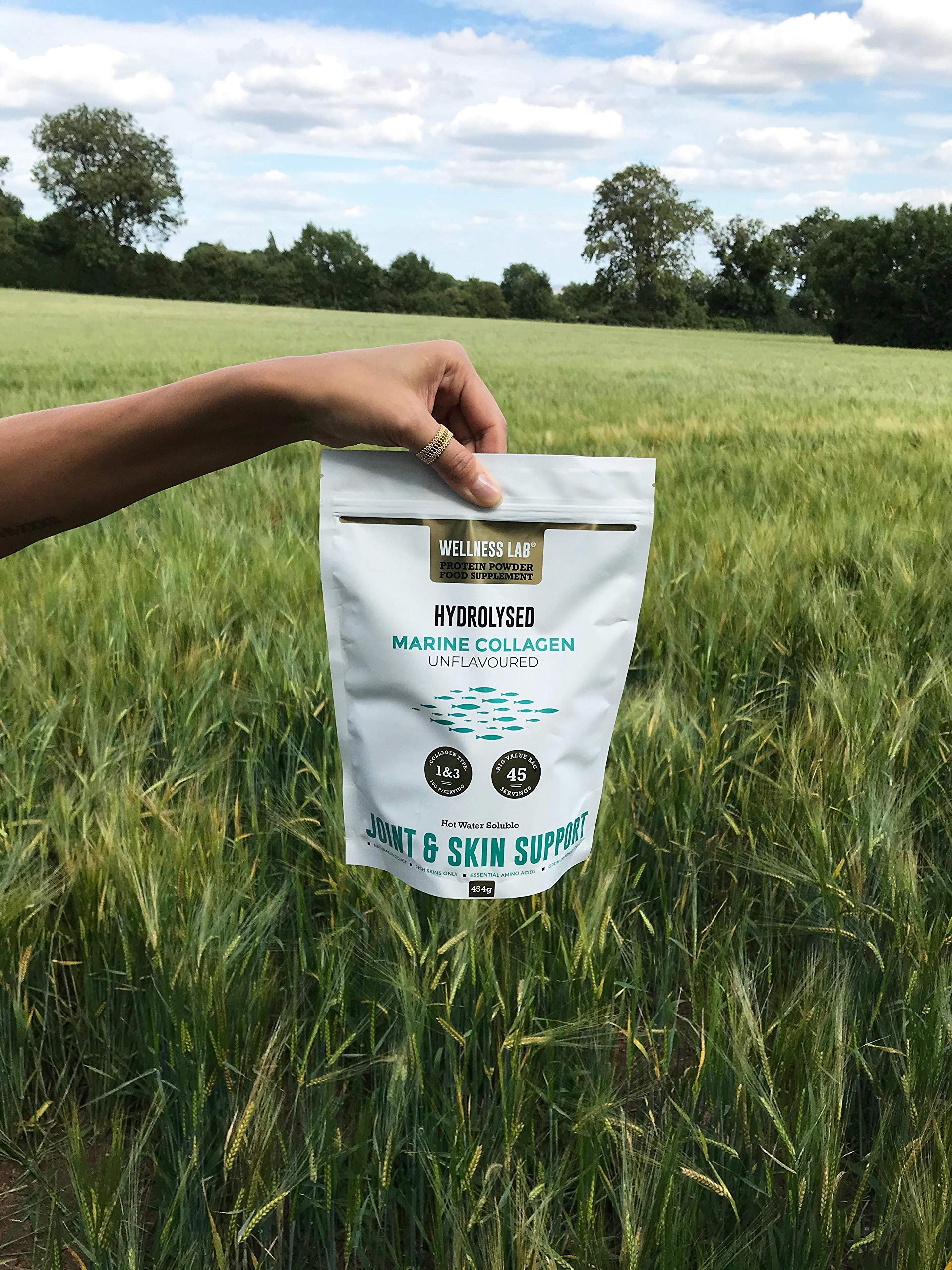 Cleanest Marine Collagen Peptides | Wellness Lab 454g | Type I,III | Highest Bioavailability Hydrolysed Protein Wellness Lab uk supplements