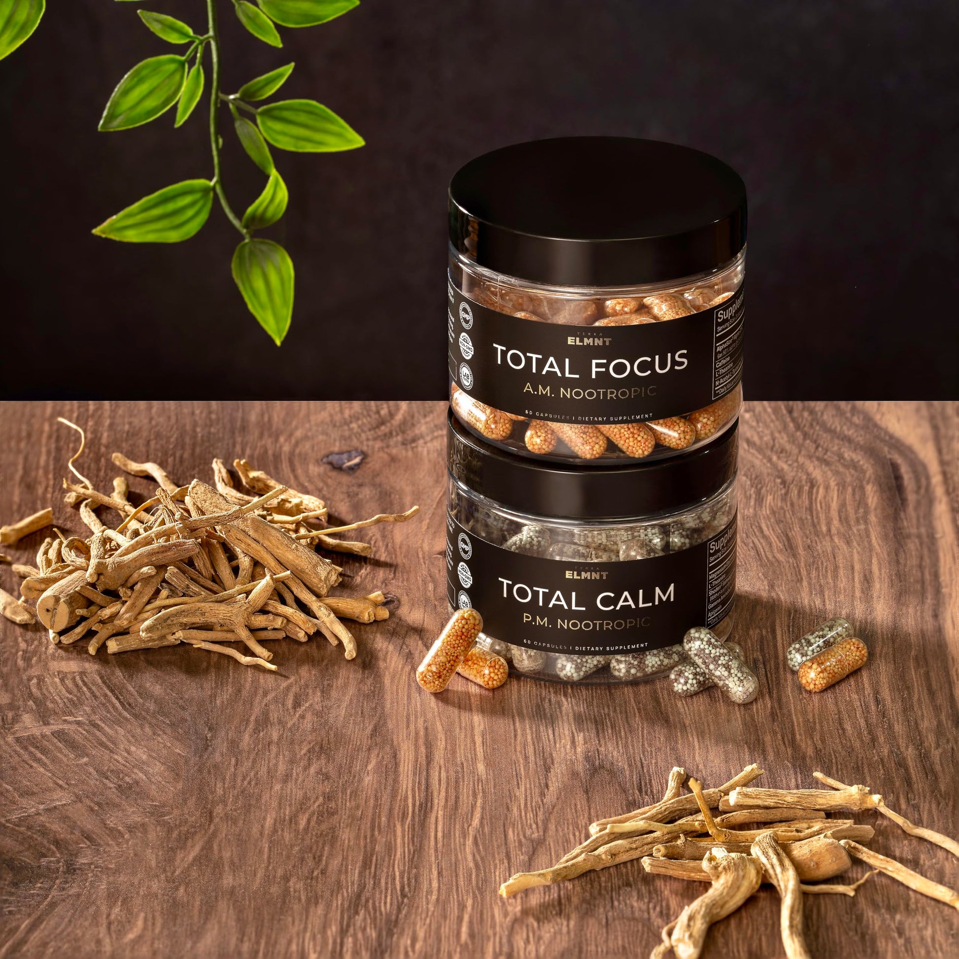 AMPM Nootropic Total Focus + Calm 9X Strength w. Caffeine, L-Theanine, Alpha GPC, L-Tyrosine, Ashwagandha - X-Release Energy Pills Nootropics Brain Support Supplements for Memory and Focus Supplement TERRA ELMNT uk supplements
