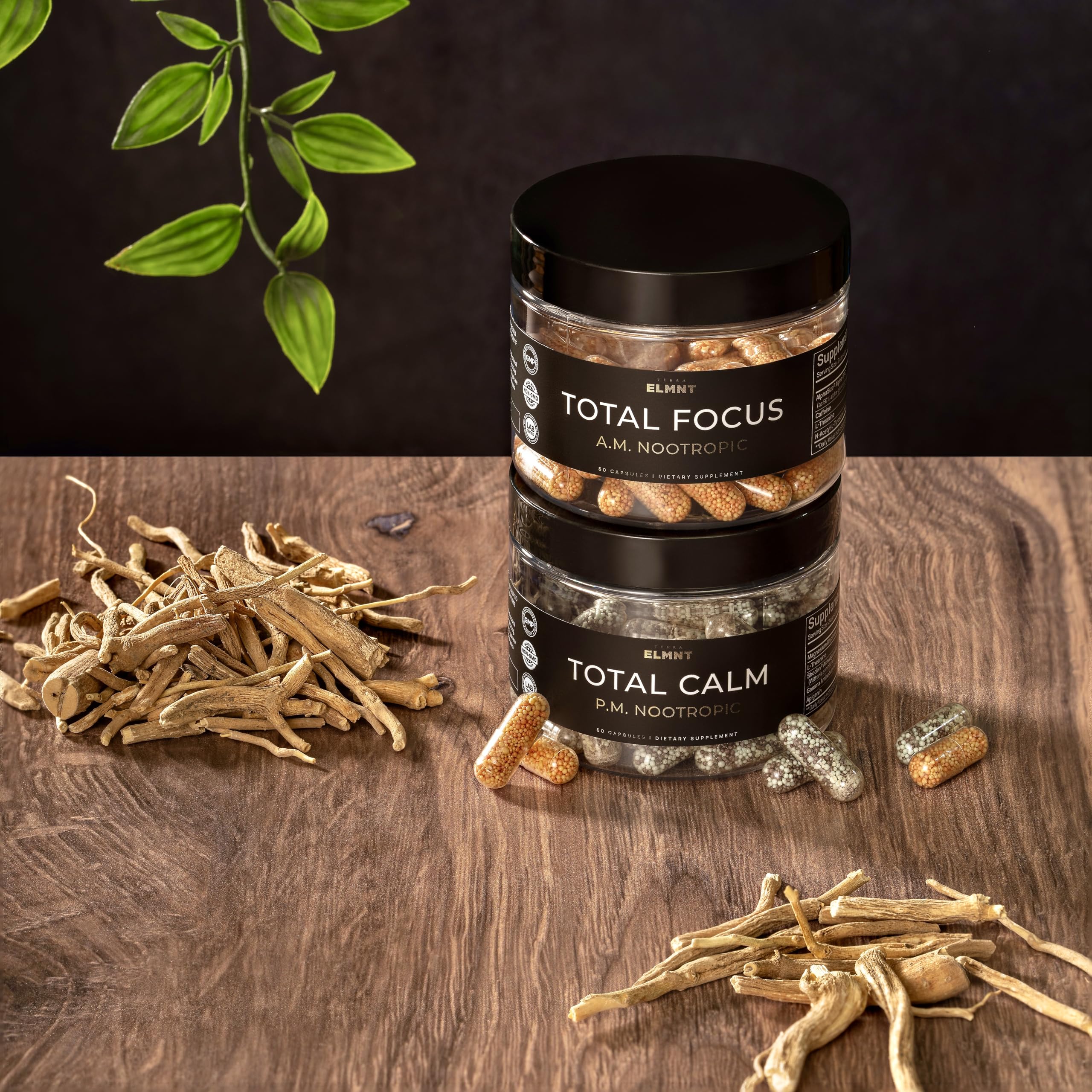 AMPM Nootropic Total Focus + Calm 9X Strength w. Caffeine, L-Theanine, Alpha GPC, L-Tyrosine, Ashwagandha - X-Release Energy Pills Nootropics Brain Support Supplements for Memory and Focus Supplement TERRA ELMNT uk supplements