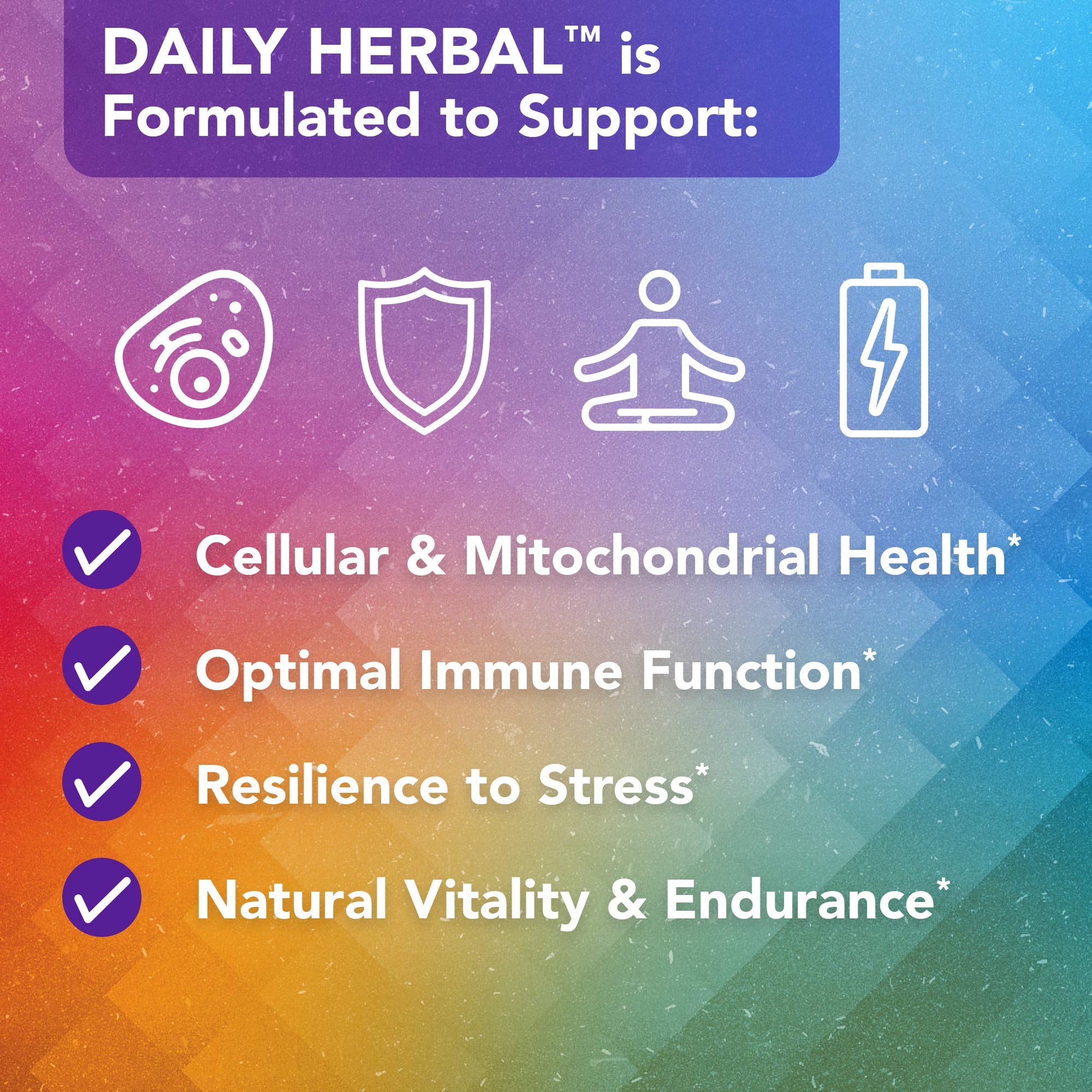Vital Plan Daily Herbal Supplement by Dr. Bill Rawls – Herbal Immunity Booster for Immune Support, Microbiome Balance & Cell Health — Reishi Mushroom, Turmeric & Rhodiola Vital Plan uk supplements