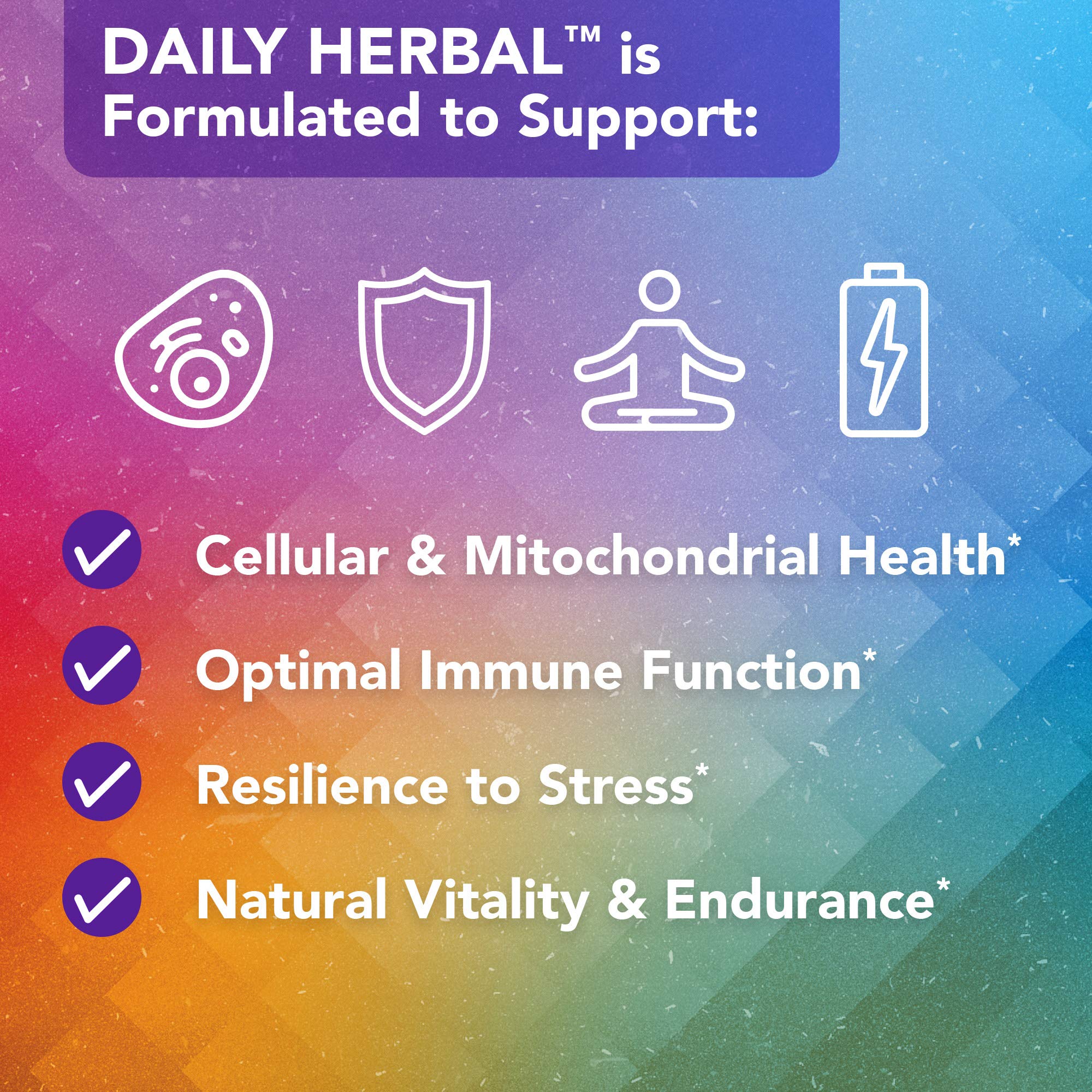 Vital Plan Daily Herbal Supplement by Dr. Bill Rawls – Herbal Immunity Booster for Immune Support, Microbiome Balance & Cell Health — Reishi Mushroom, Turmeric & Rhodiola Vital Plan uk supplements