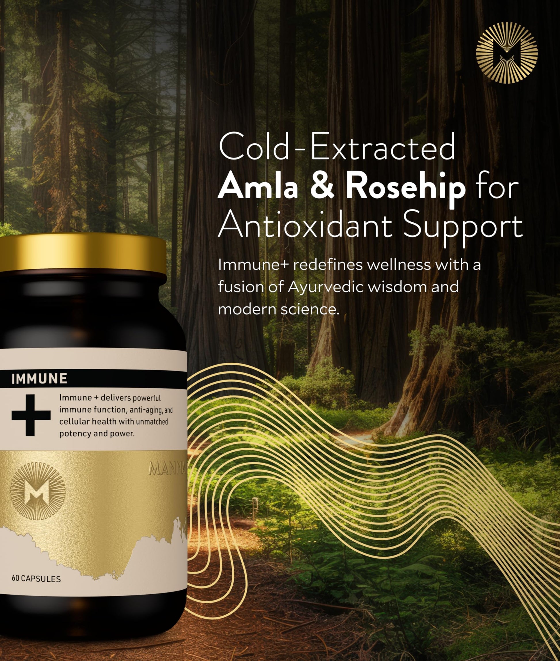 Manna Immune+ Capsules | 500mg Amla Extract & 500mg Rosehip Extract | Vitamin C Supplement for Immune Boost, Antioxidants, Heart Health, Digestion & Immune System Support | For Daily Use | 60 Count M Manna uk supplements